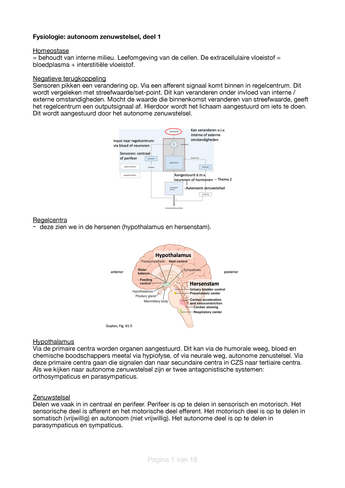 Fysiologie Zenuwstelsel: Kennisclips Thema 9 - Fysiologie: Autonoom ...