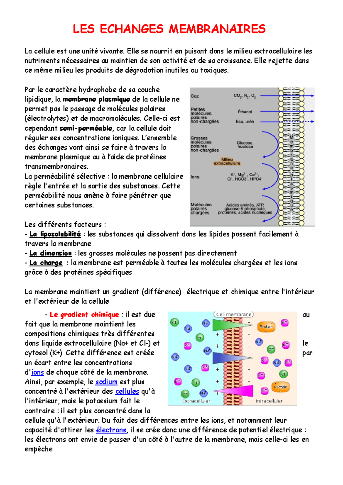 LES Echanges Membranaires - LES ECHANGES MEMBRANAIRES La Cellule Est ...