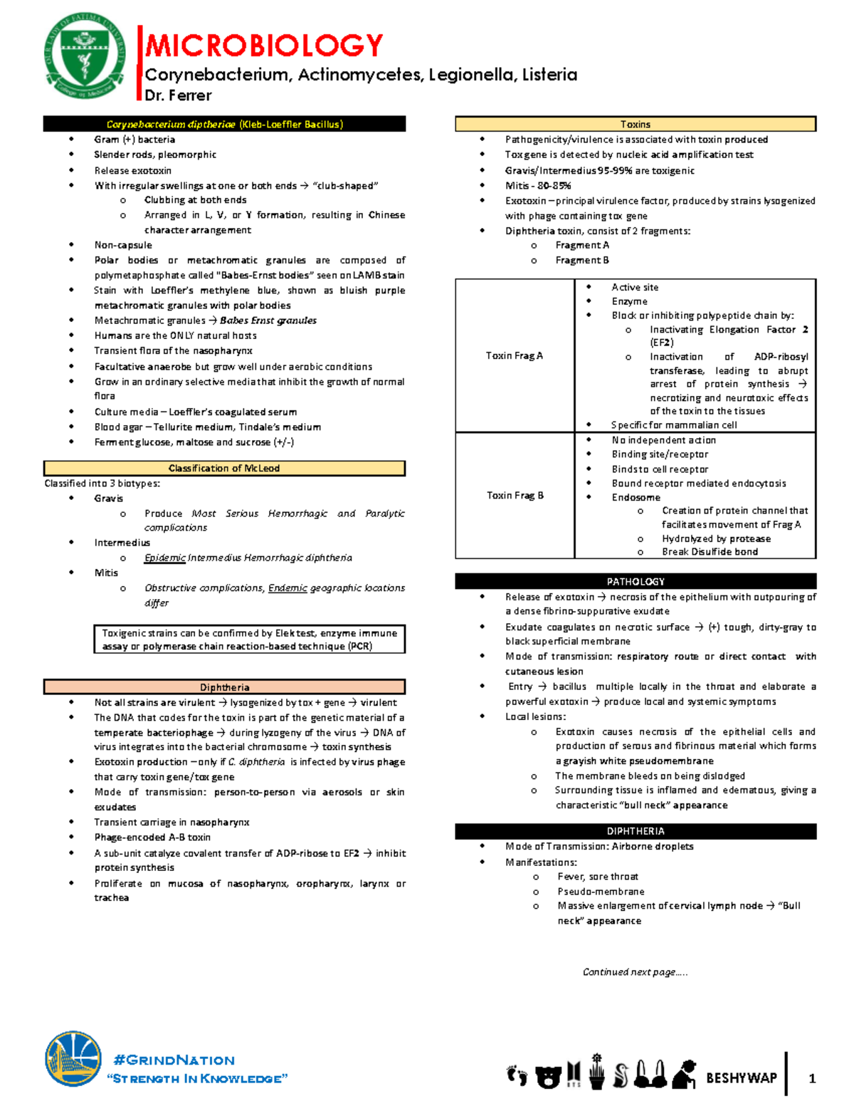 microbio notes mga marecakes - Corynebacterium, Actinomycetes ...
