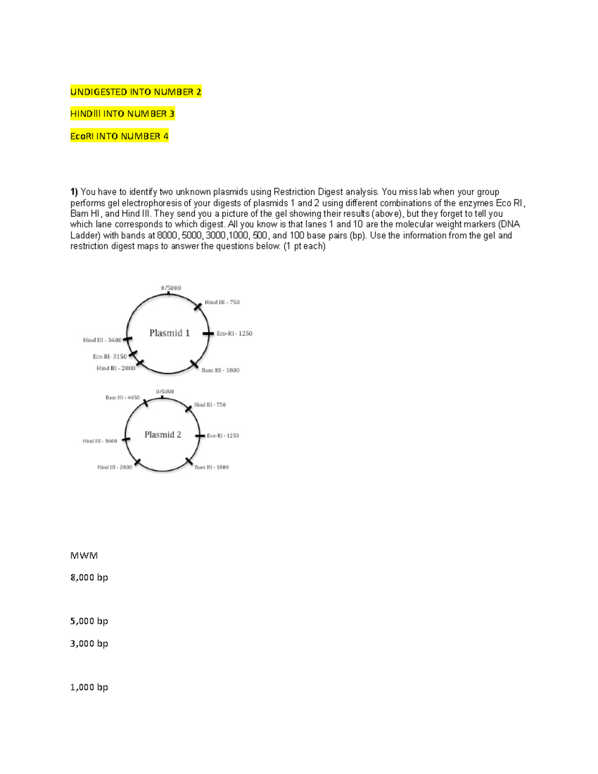 1107L-GI-Dawsonm - lab coursework with some examples of my