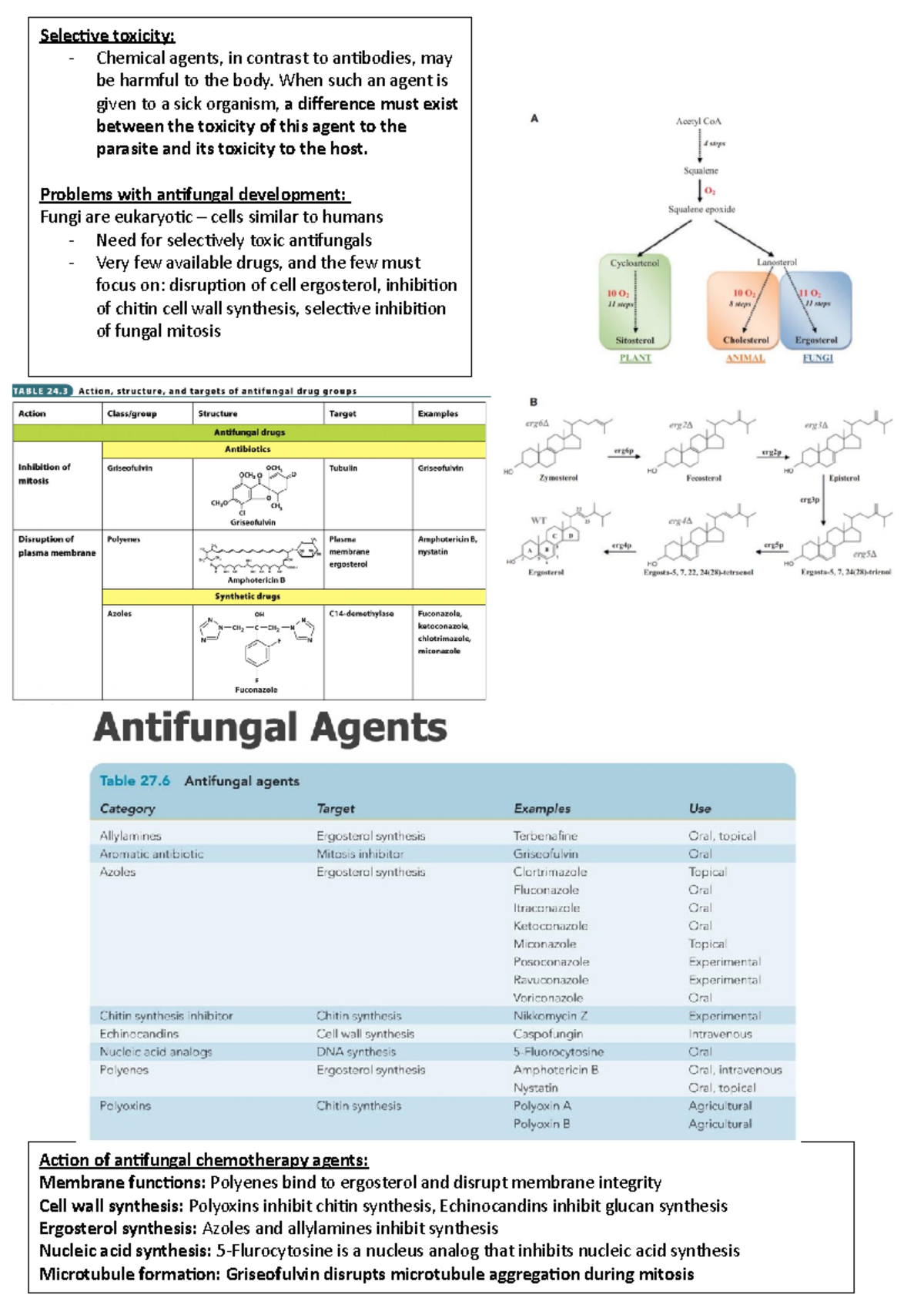 antifungal agents & resistance Action of antifungal chemotherapy agents Membrane functions