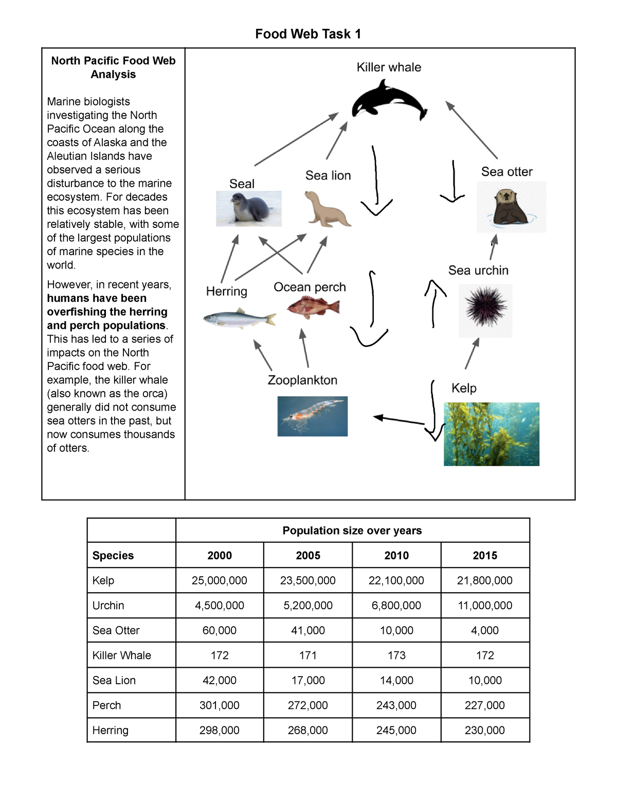 food-web-task-1-22-23-gr-food-web-task-1-north-pacific-food-web