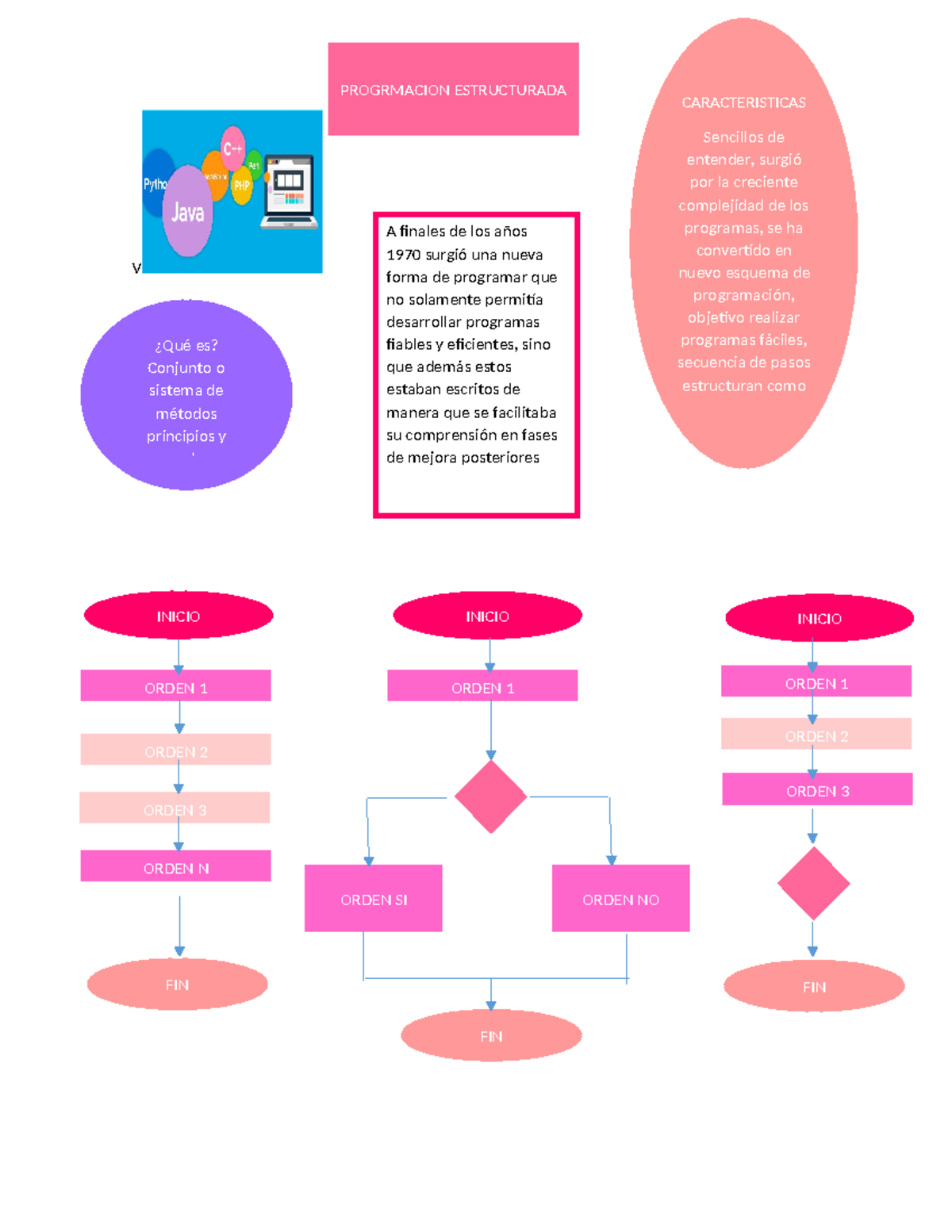 Infografia Progrmacion - V PROGRMACION ESTRUCTURADA ¿Qué es? Conjunto o ...