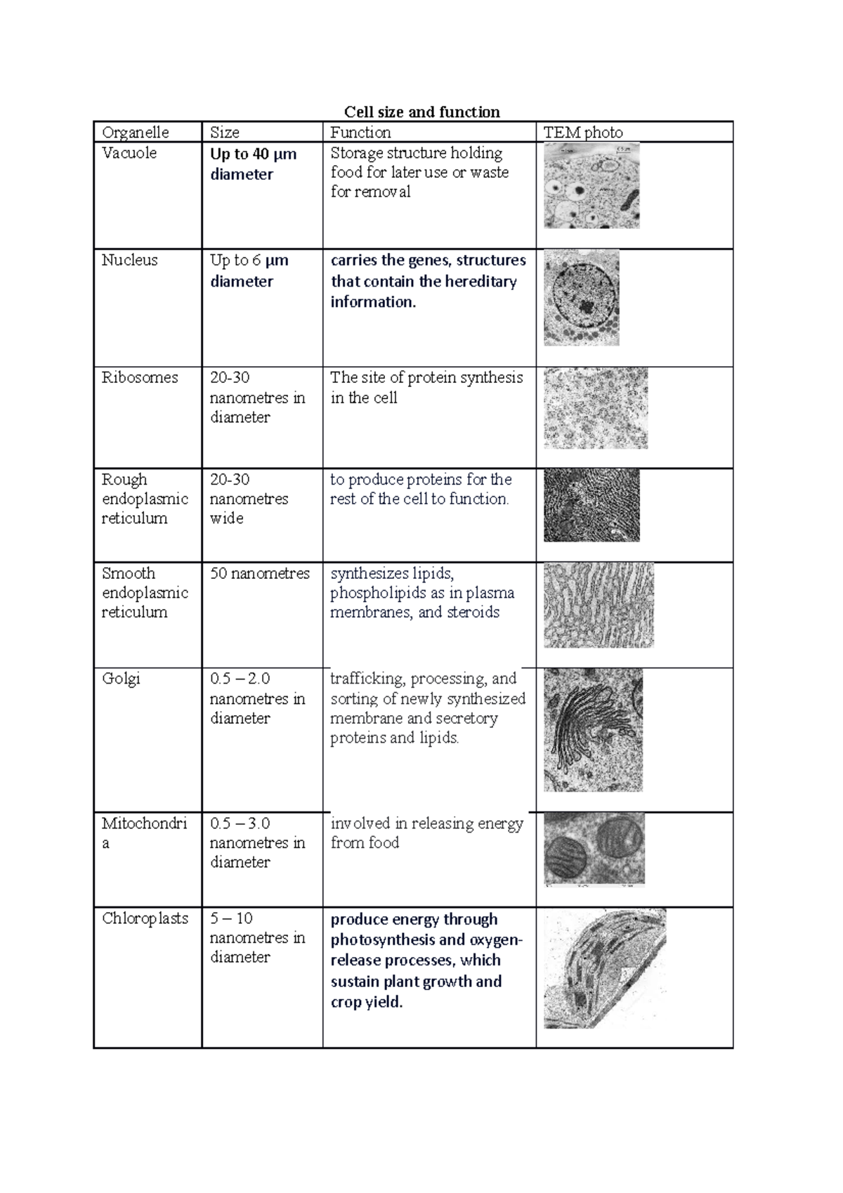 Cell size and function - Cell size and function Organelle Size Function ...