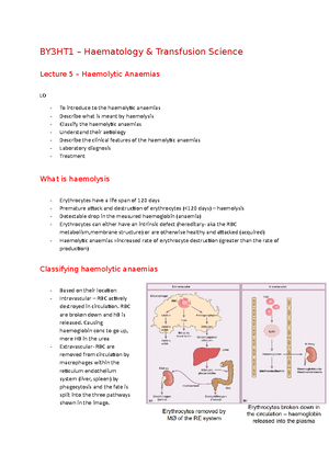 Haematology & Transfusion Science Practice Exam - School of Life and ...