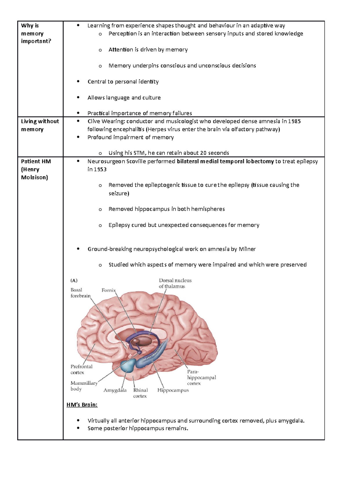 Revision Notes - Teaching Block 8 - Why is memory important? Learning ...