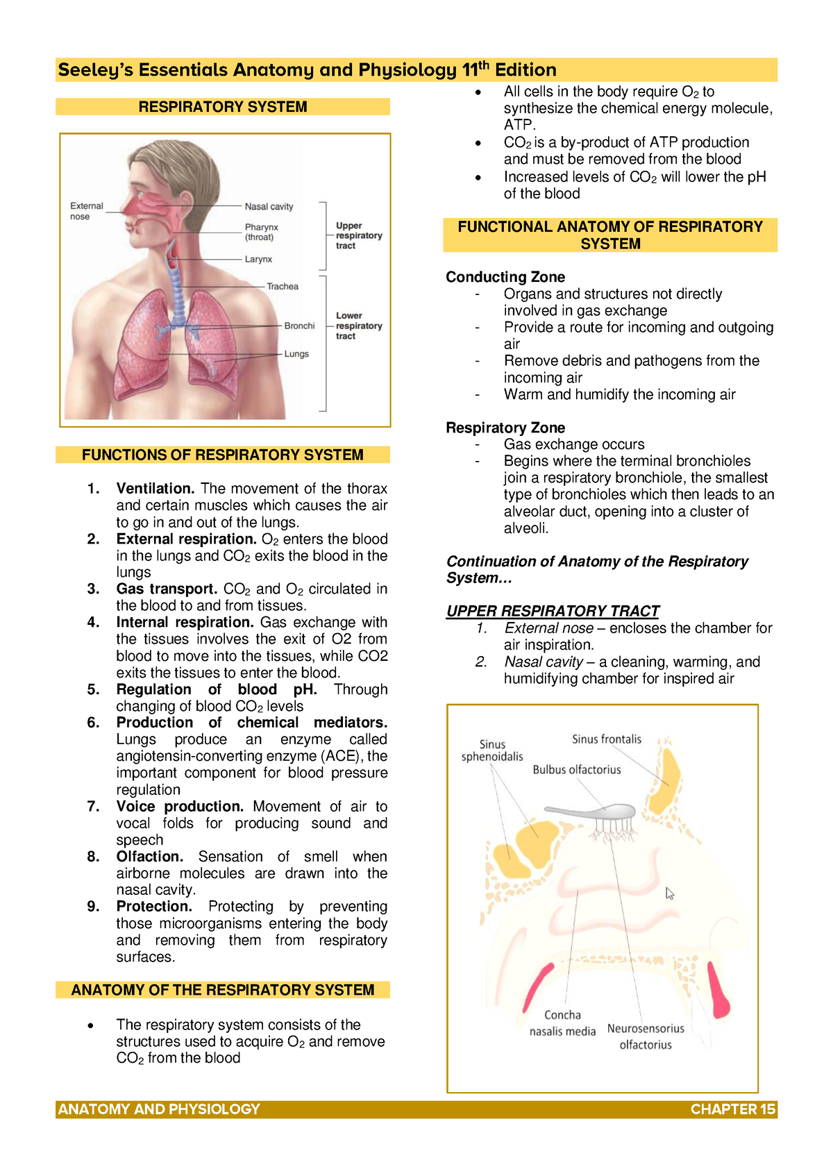 Transes-Respiratory Anatomy and Physiology - RESPIRATORY SYSTEM ...