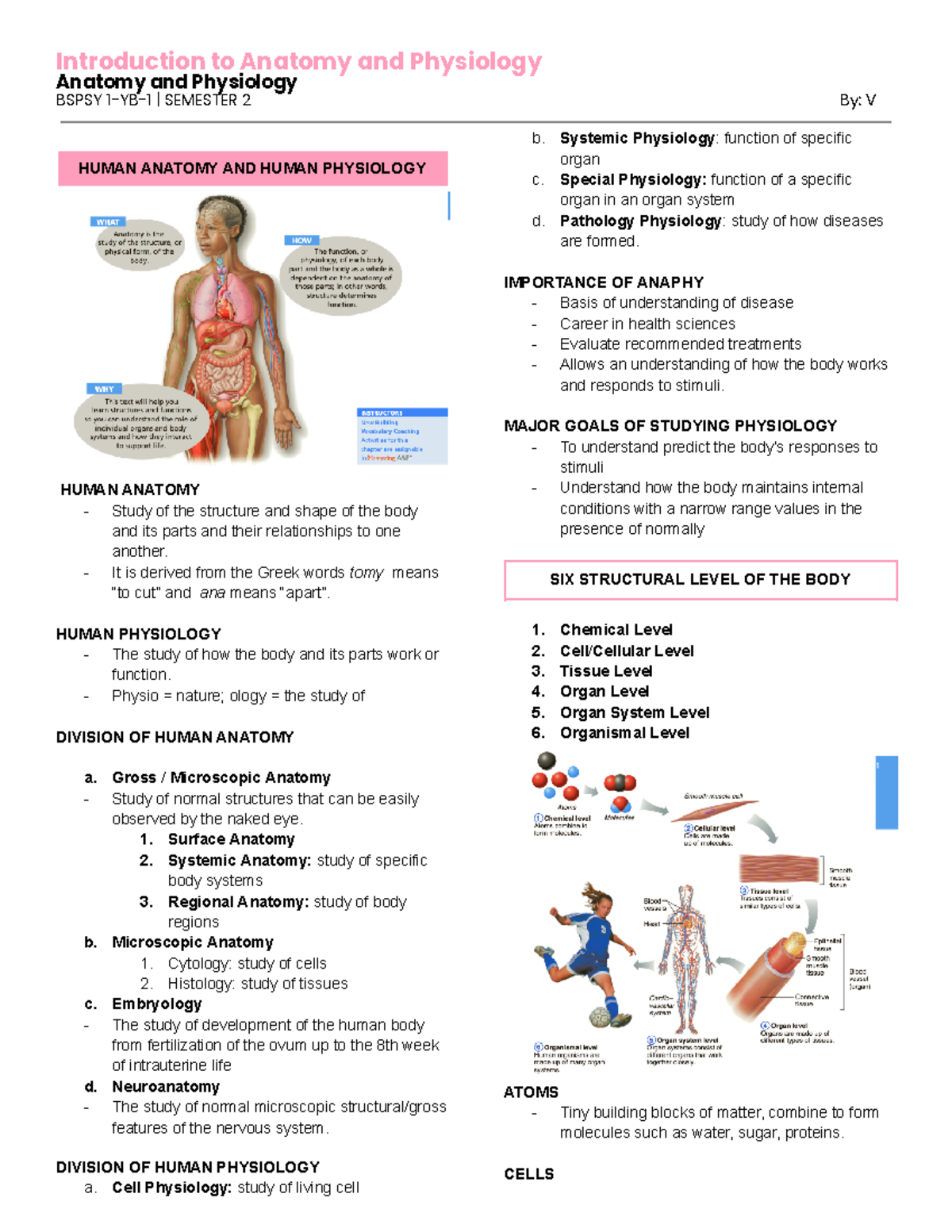 Introduction to Human Anatomy - Anatomy and Physiology BSPSY 1-YB-1 ...