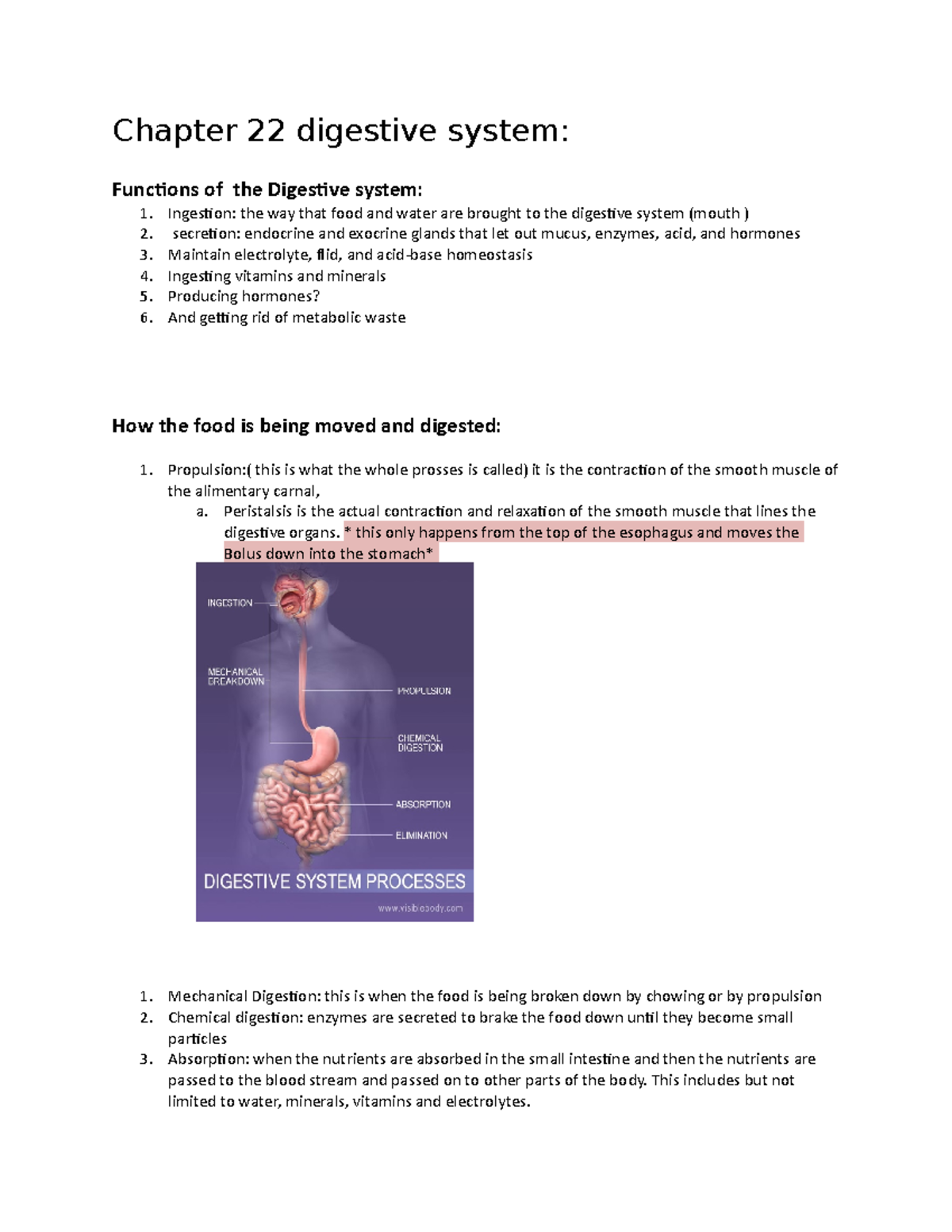 Anatomy 142 Chapter 22 Digestive System - Chapter 22 Digestive System ...