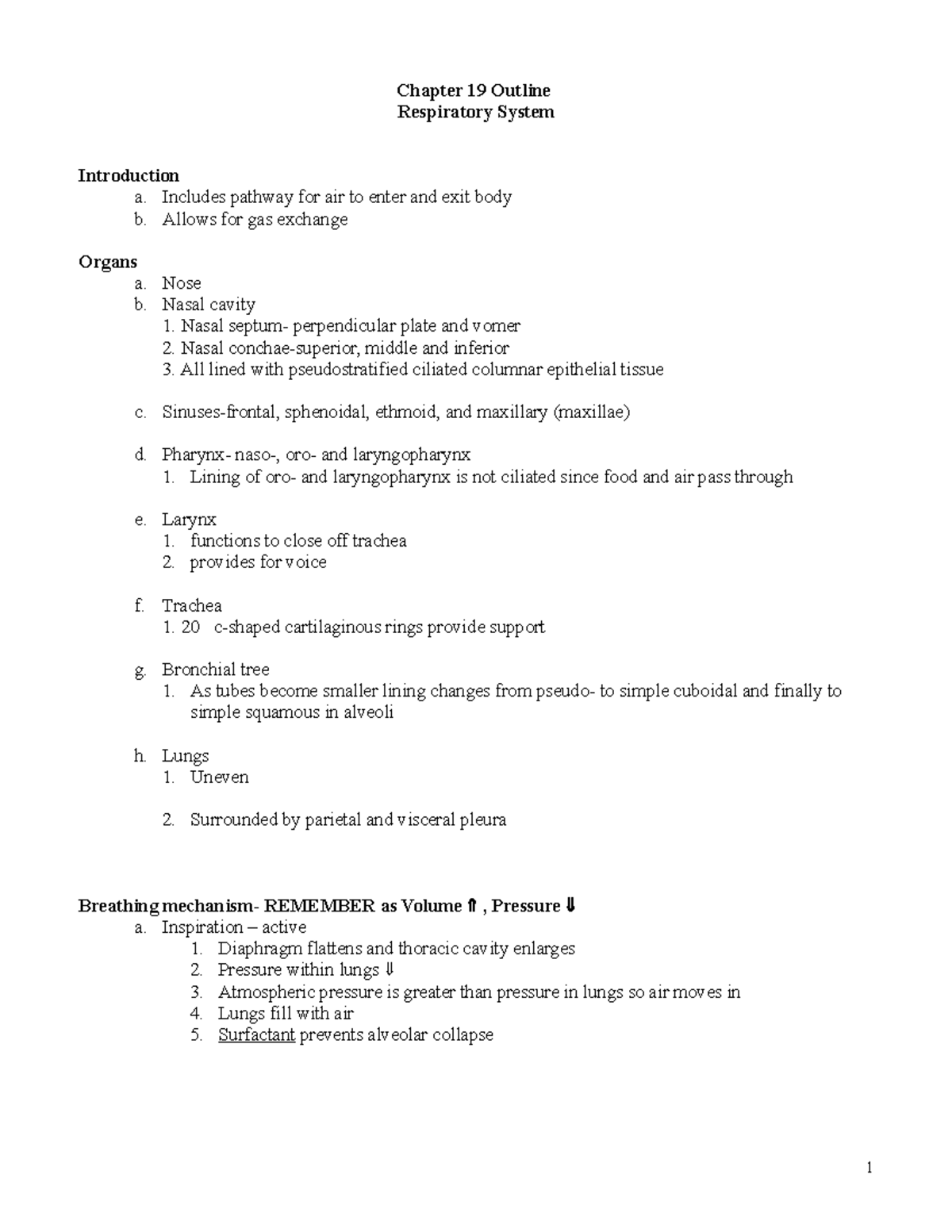 Chapter 19 - ch 19 - Chapter 19 Outline Respiratory System Introduction ...