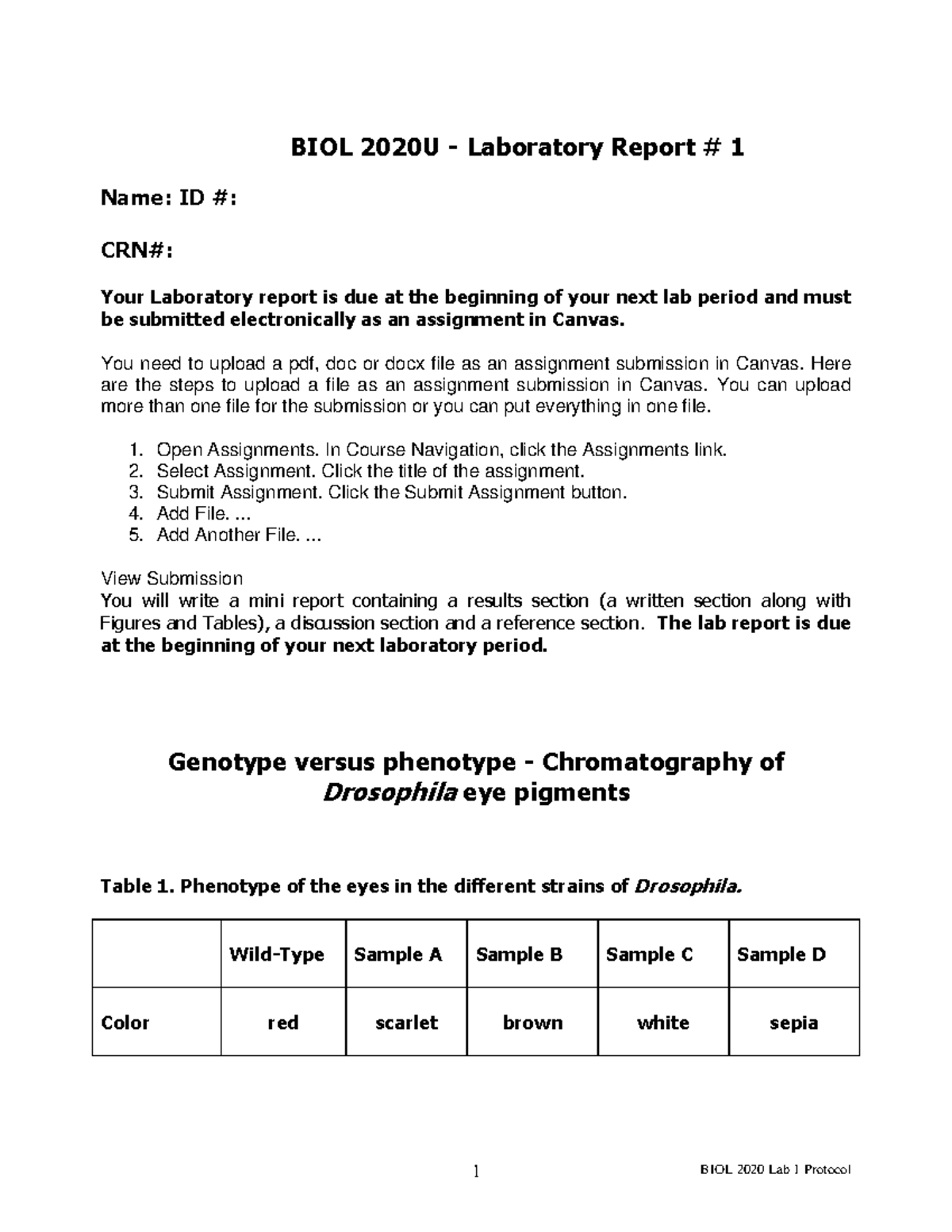 Labby Lab Report Fly Genetics Drosophila Biol 2020u Laboratory Report 1 Name Id Crn 3903