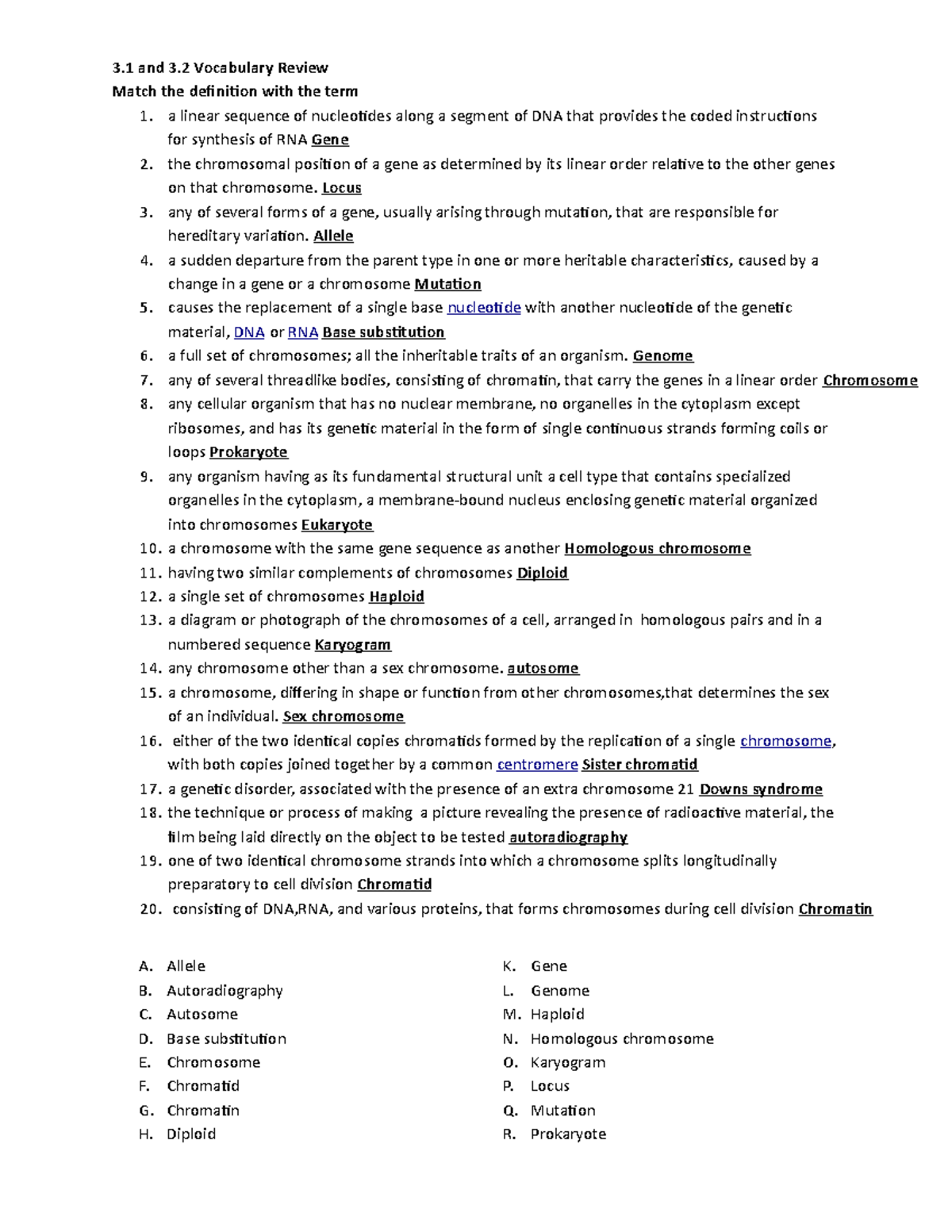 3.1+and+3.2+Vocabulary+Practice - 3 and 3 Vocabulary Review Match the ...