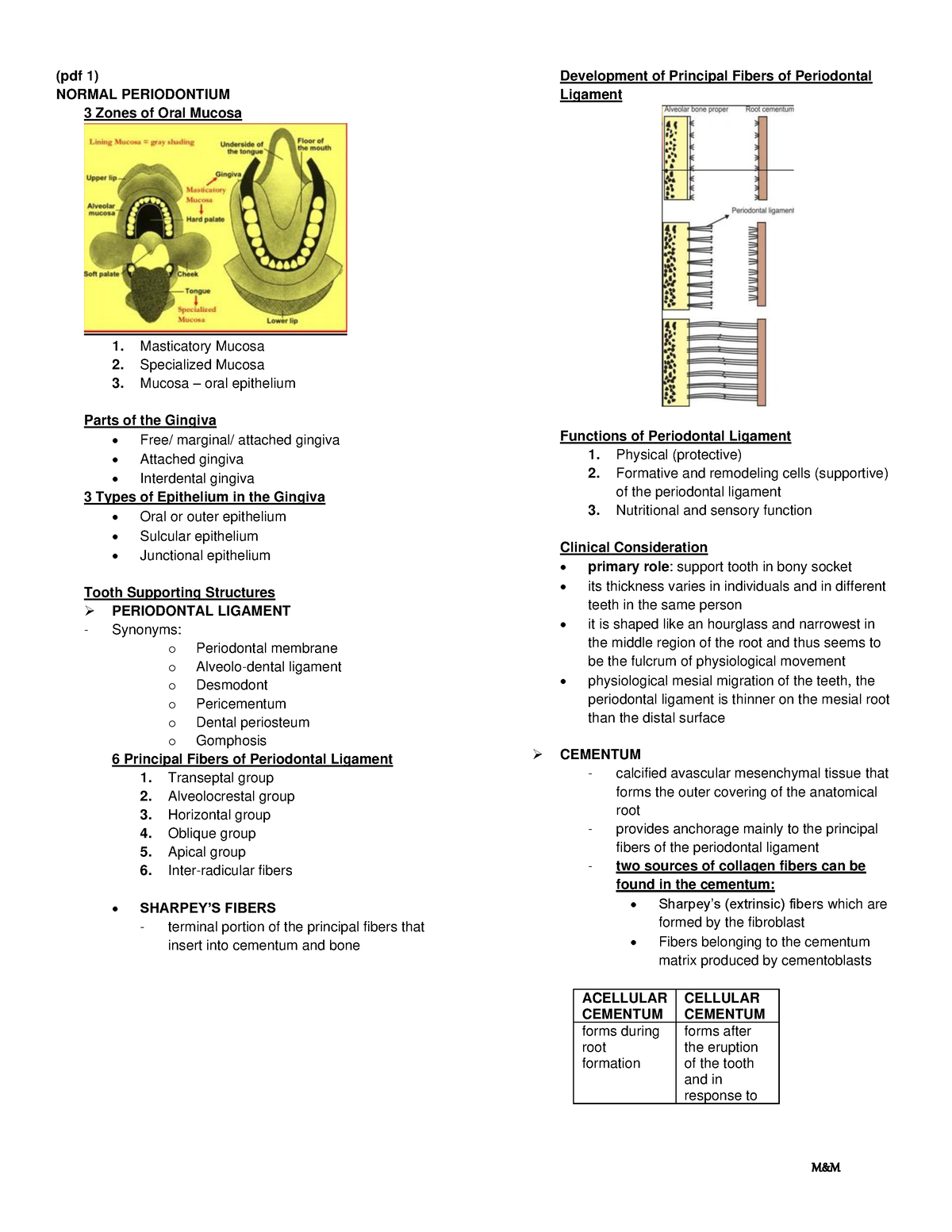 Endo-perio-finaal - ENDO PERIO - (pdf 1) NORMAL PERIODONTIUM 3 Zones Of ...