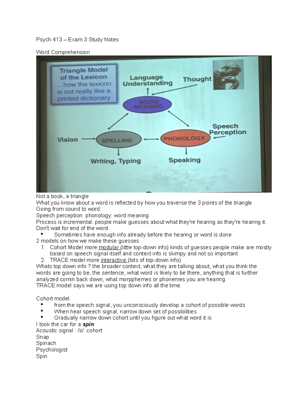 Psycholinguistics Exam 3 - Psych 413 Exam 3 Study Notes Word ...