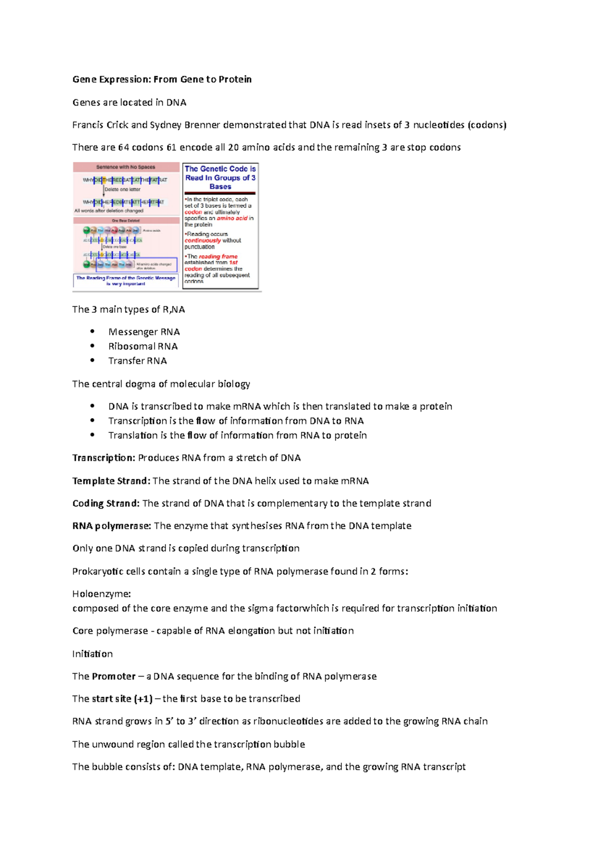 Gene Expression Notes Gene Expression From Gene to Protein Genes