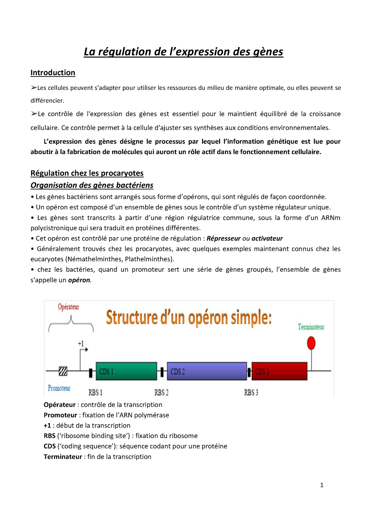 Genetique 2an-regulation Expression Genes 2022ouldjaoui - La Régulation ...