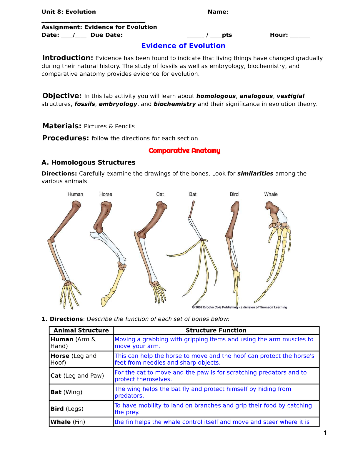 copy-of-evidence-of-evolution-assignment-evidence-for