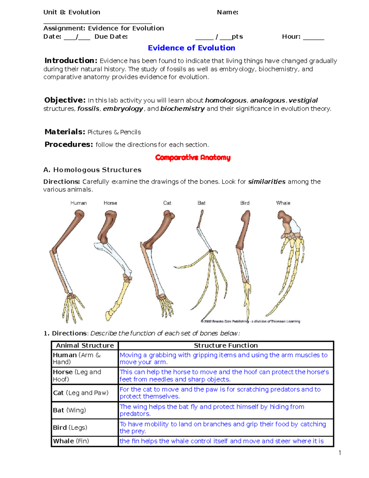 How Does Comparative Anatomy And Embryology Support Evolution