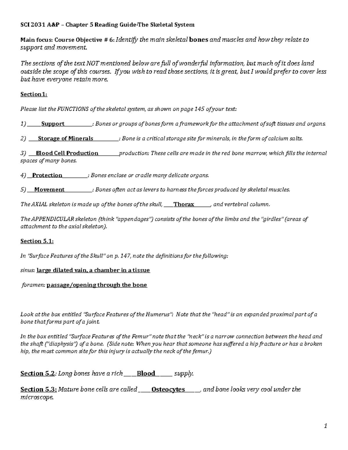 Chapter 5 pre-class assg answers - SCI 2031 A&P – Chapter 5 Reading ...