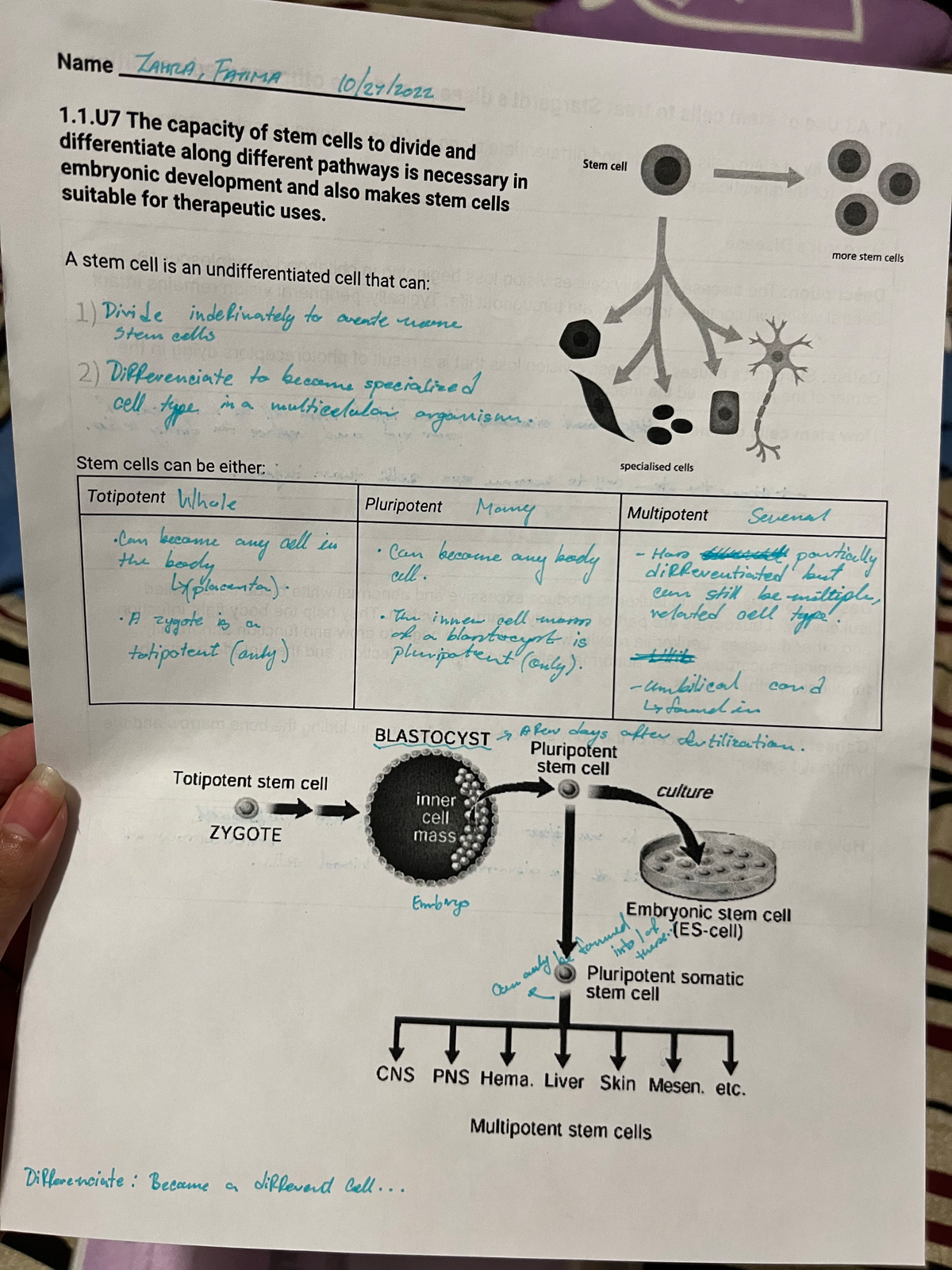 IMG 6787 - Assignment + class notes on unicellular organisms. Talks ...