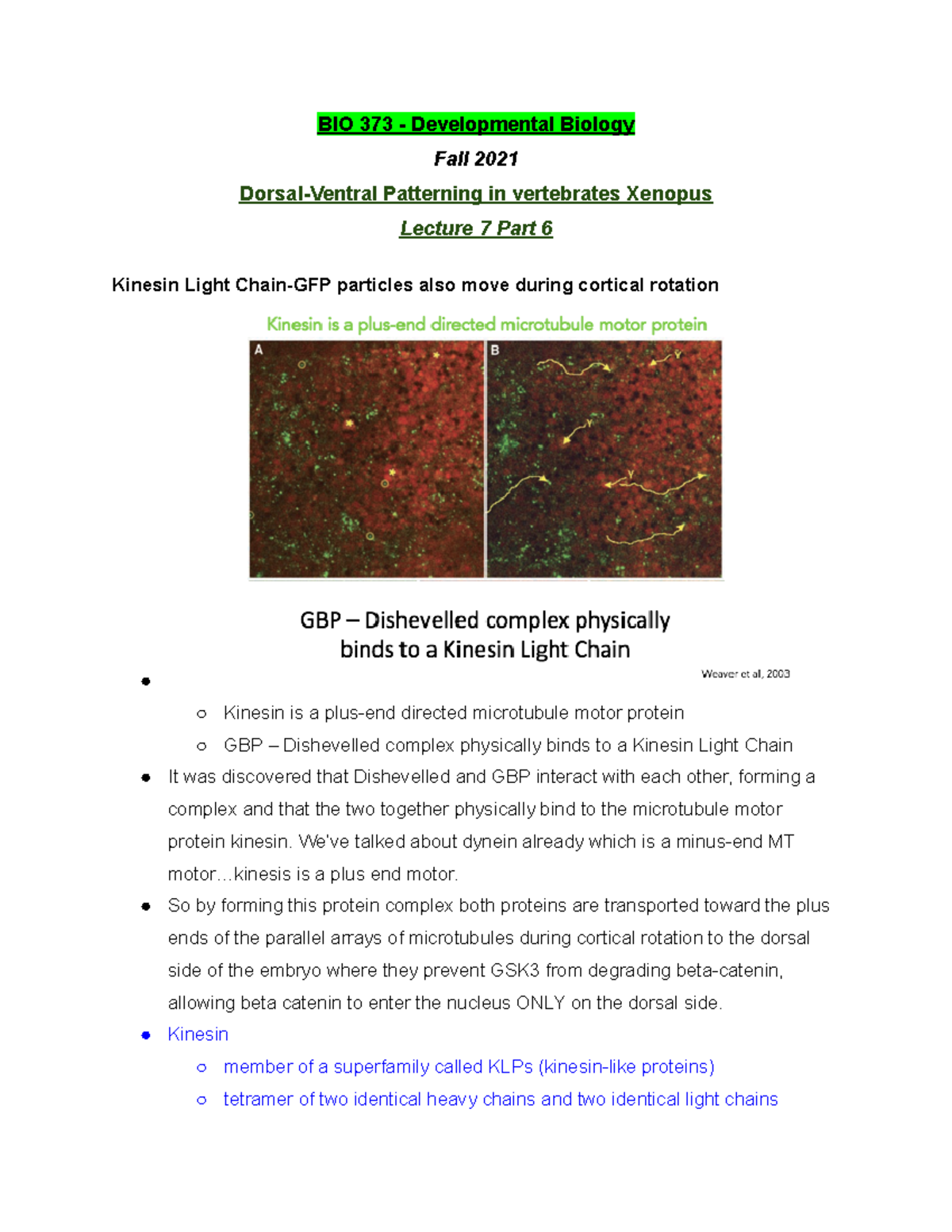 BIO 373 Lecture 7 Part 6 - Fall 2021 - BIO 373 - Studocu