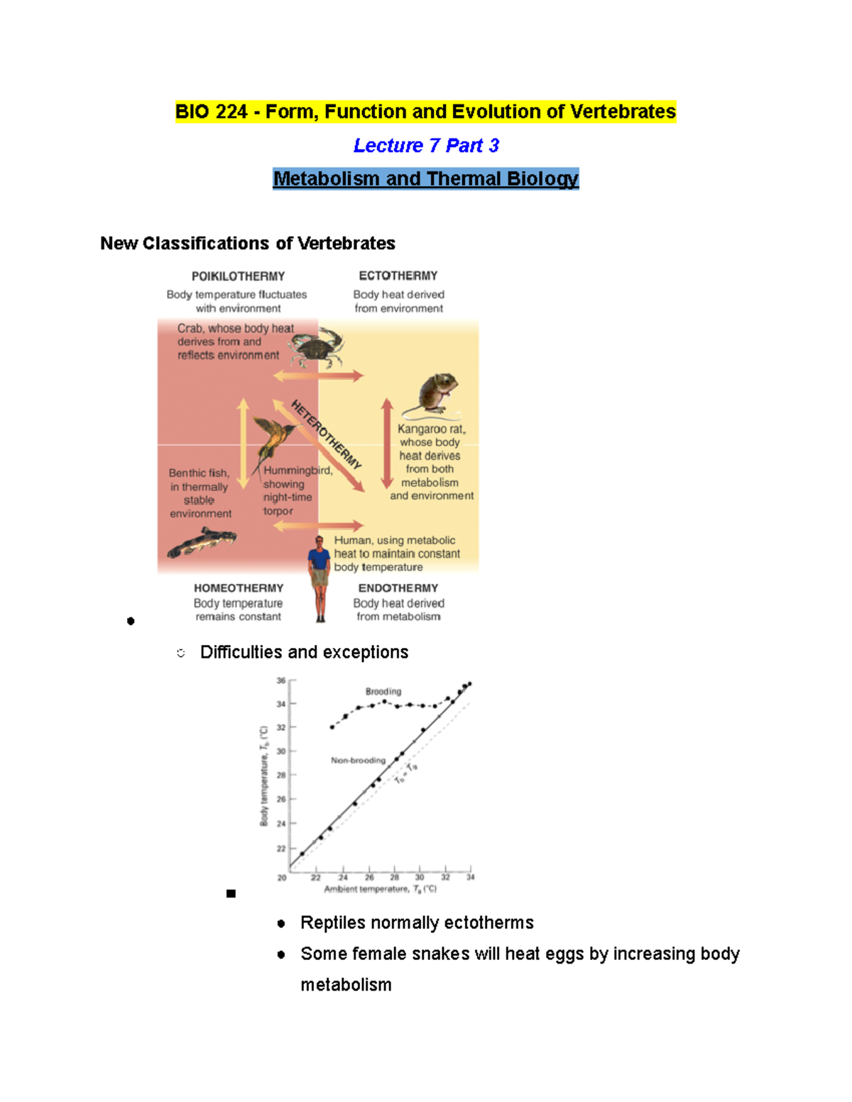 BIO 224 Lecture 7 Part 3 - Winter 2019 - BIO 224 - Form, Function and ...