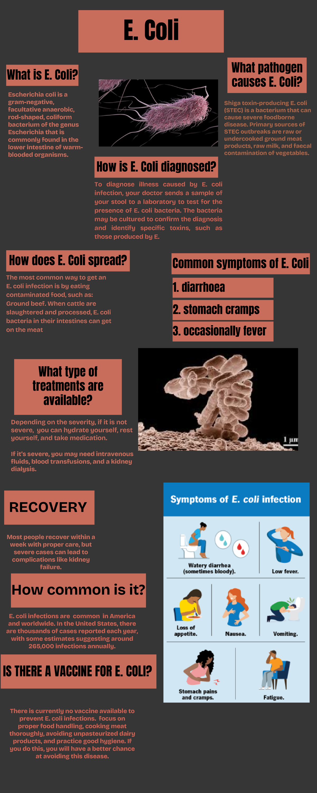 E. Coli - Work - What is E. Coli? What pathogen causes E. Coli? How is ...