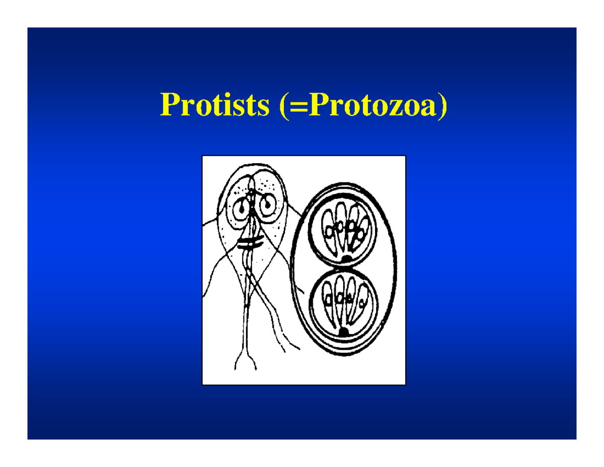 W19 L03 - 3040 - Protists I - Intro and Coccidia Lecture 1 pg ...