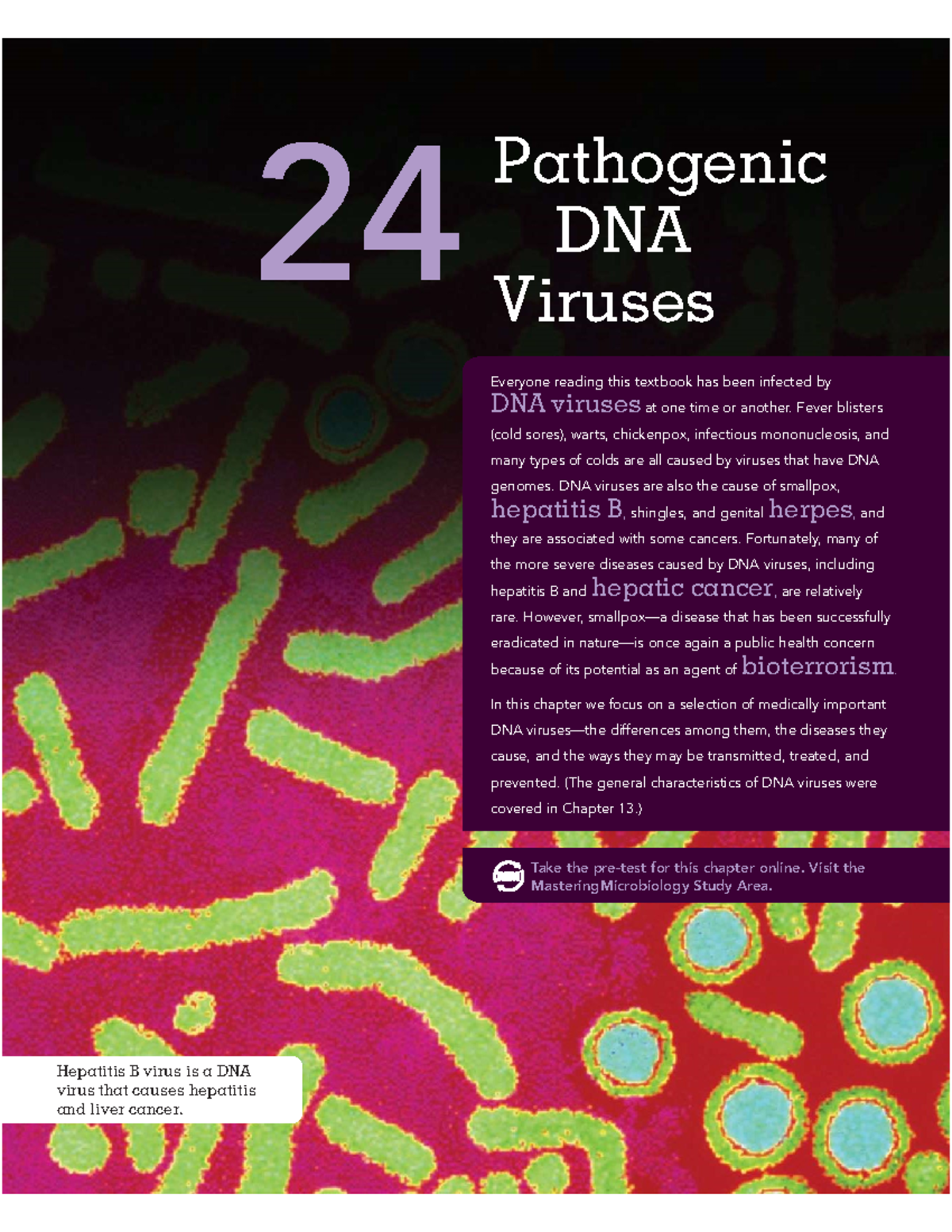 Pathogenic DNA and RNA Viruses - Everyone reading this textbook has ...