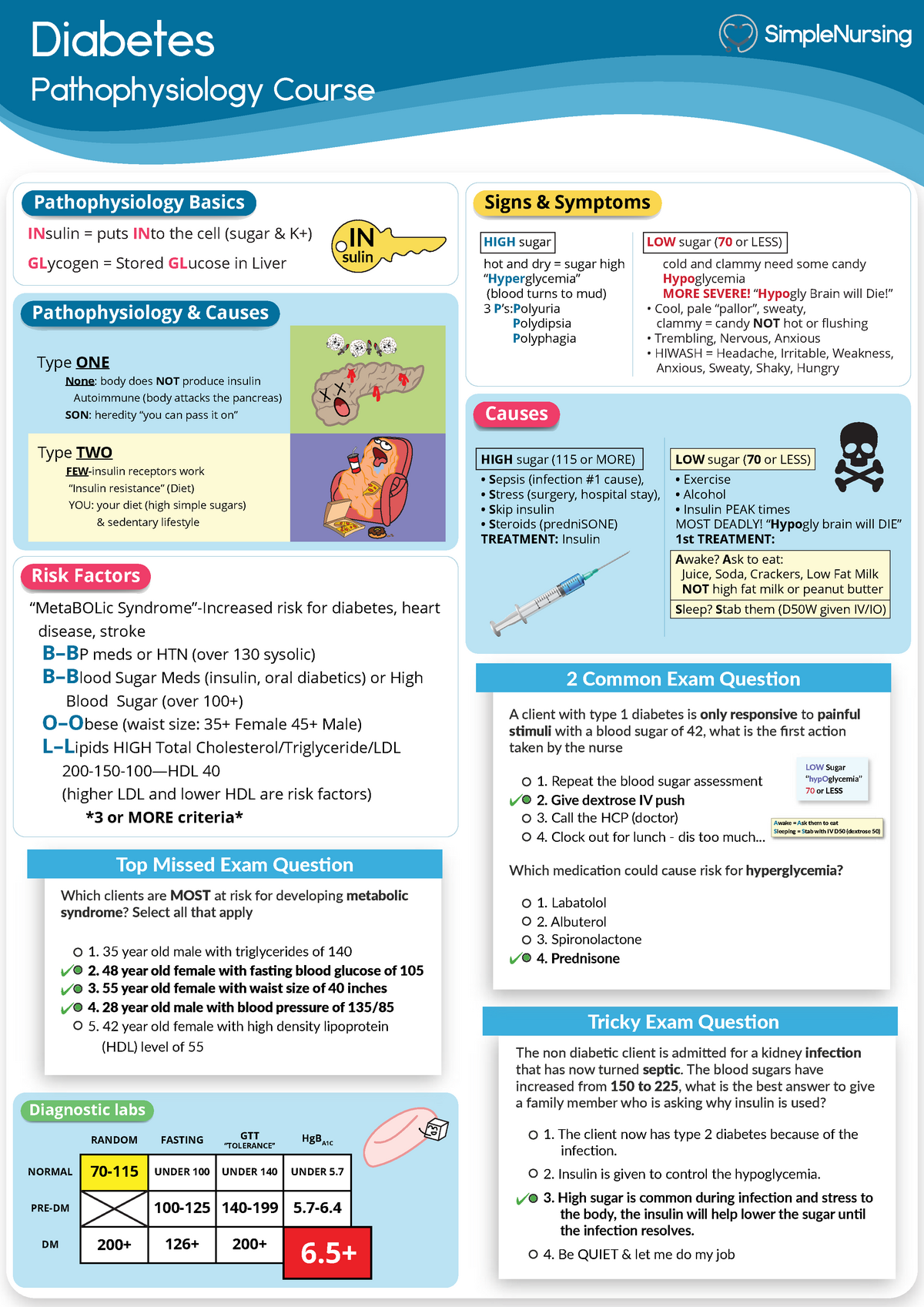 Diabetes Pathophysiology Causes Signs Labs - Diabetes Pathophysiology ...