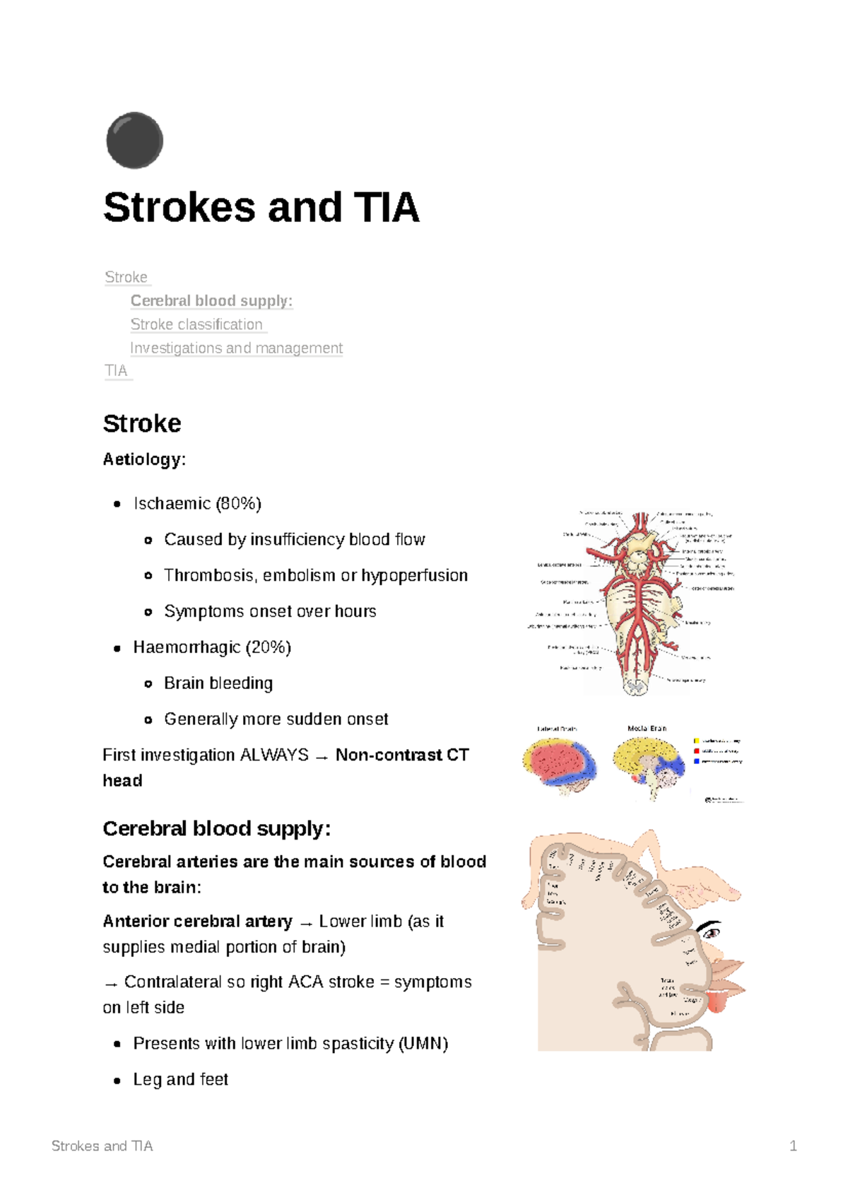 Strokes and TIA - All the clinical information required for medical ...