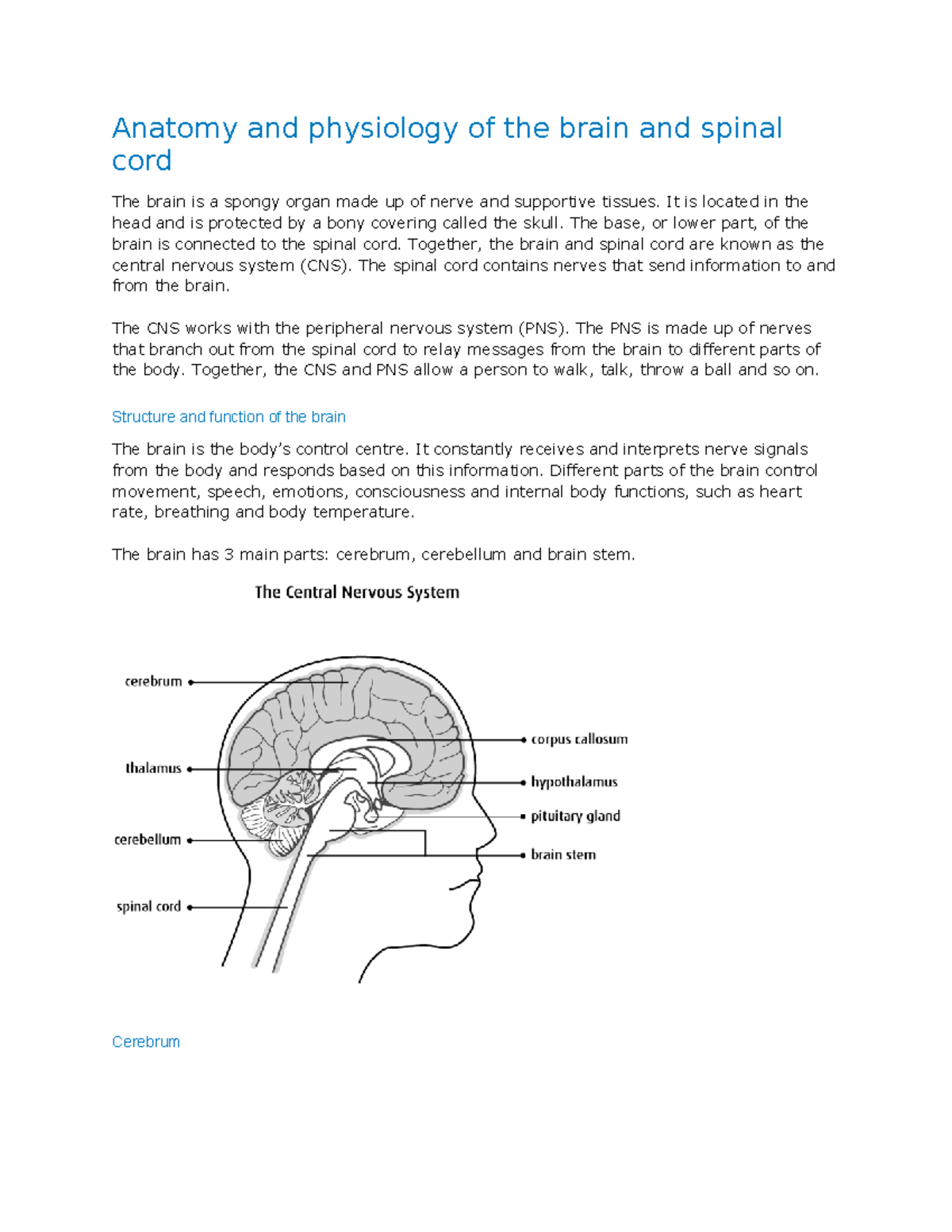 Anatomy and physiology of the brain and spinal cord - Anatomy and ...