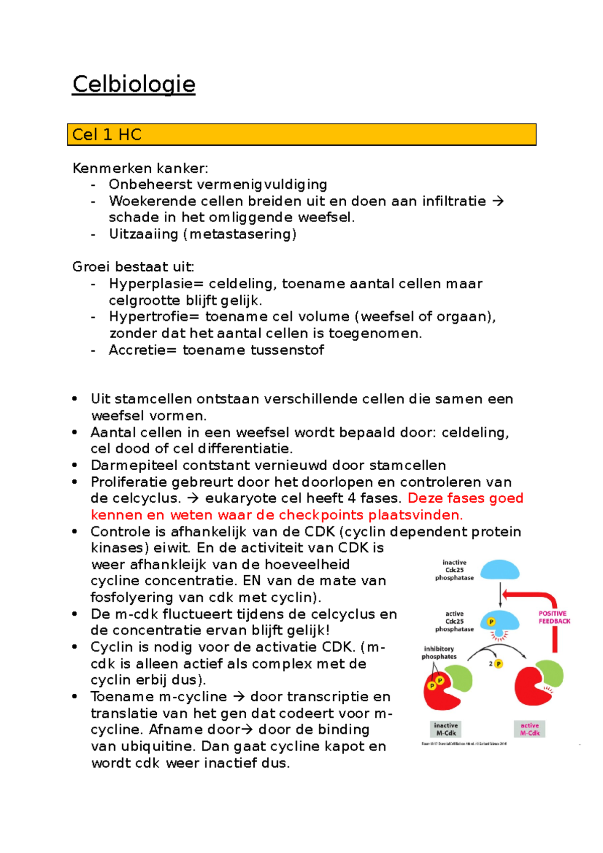 Celbiologie Samenvatting Deeltoets 3 - Celbiologie Cel 1 HC Kenmerken ...