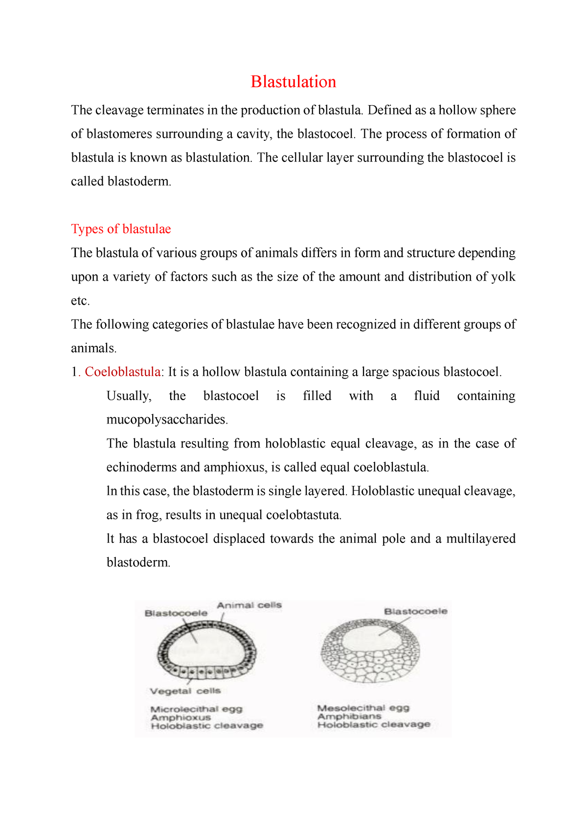 blastulation-types-of-blastula-blastulation-the-cleavage-terminates