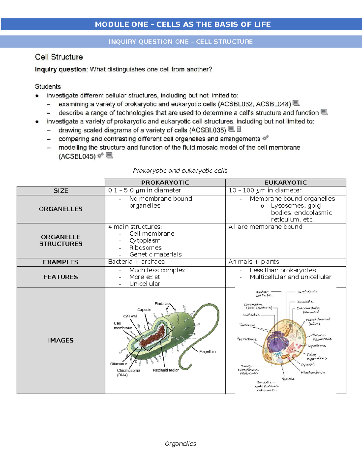 Summarised mod 1 notes 64edf7d75f6f9 - Prokaryotic and eukaryotic cells ...