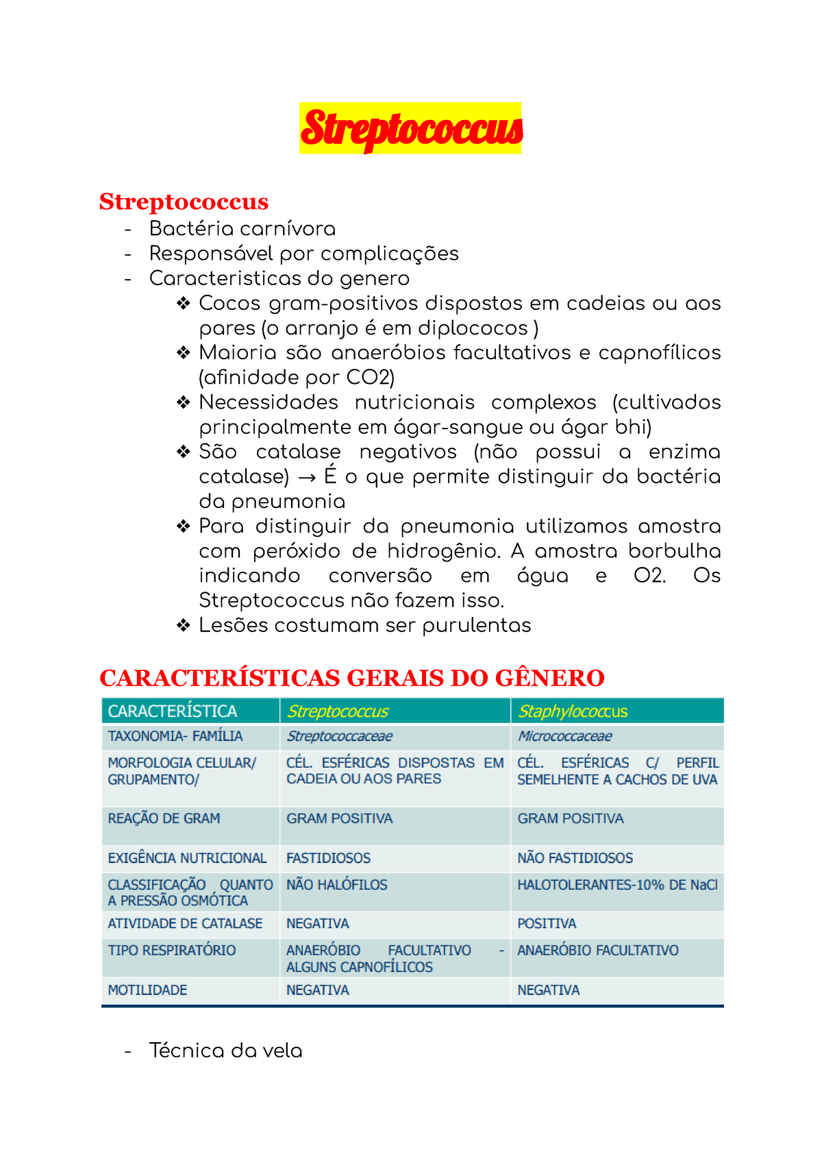 Streptococcus Principais Características Morfologia E Fisiologia Dos