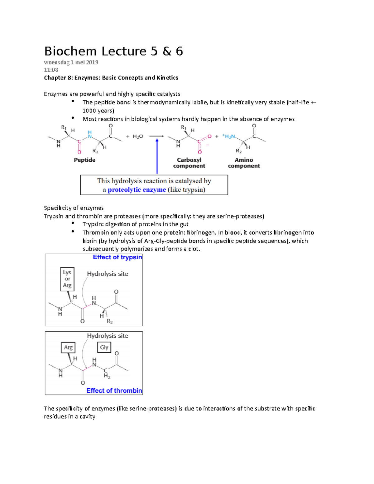 Biochem Lecture 5 & 6 - Biochem Lecture 5 & 6 Woensdag 1 Mei 2019 11 ...