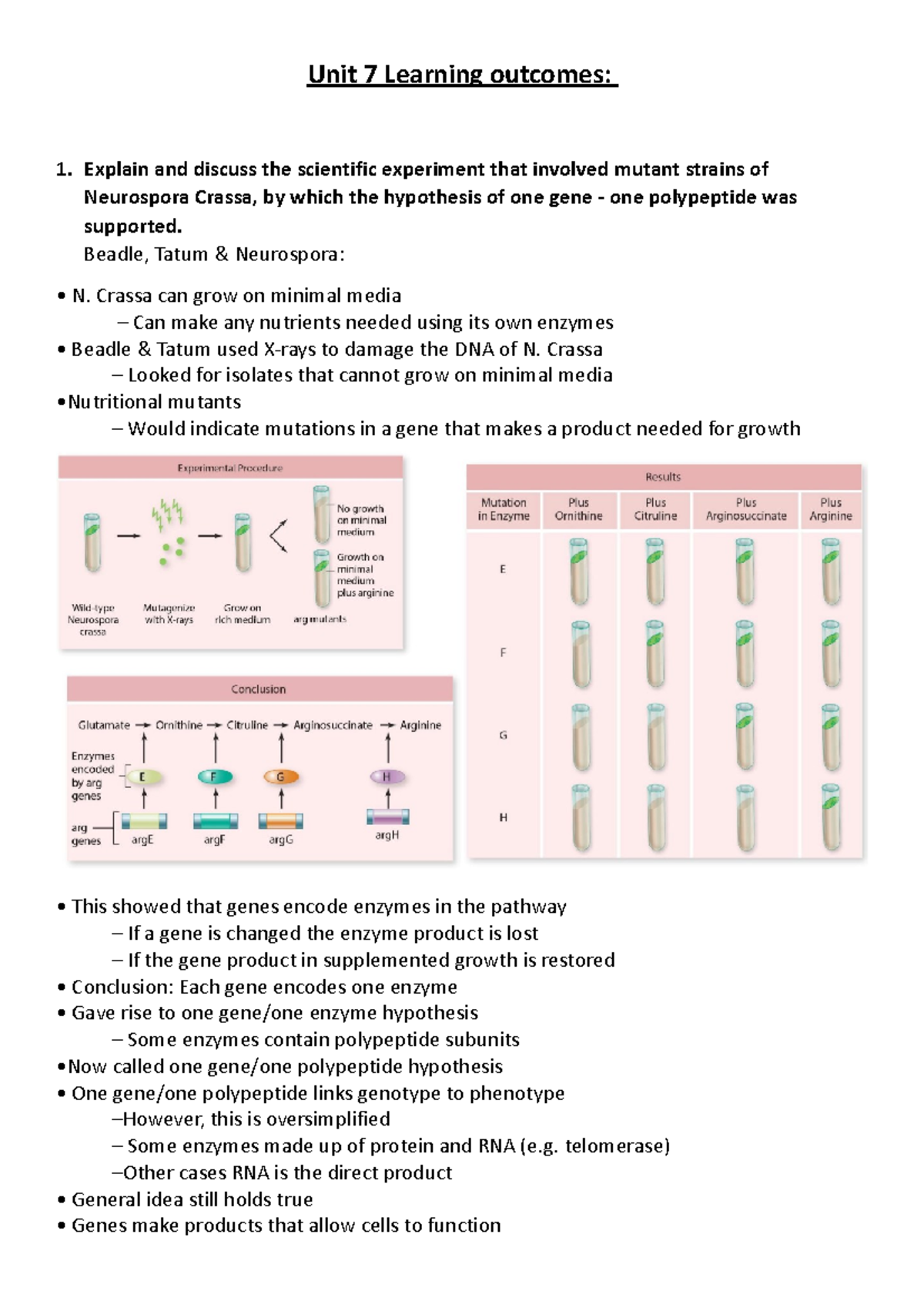 Unit 7 Learning Outcomes - Unit 7 Learning Outcomes: Explain And ...