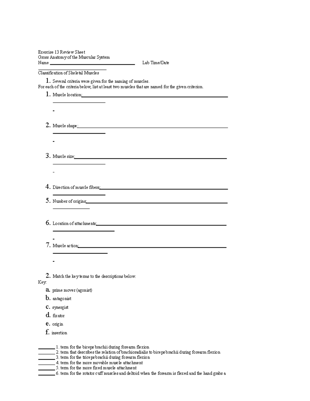 exercise-13-help-exercise-13-review-sheet-gross-anatomy-of-the