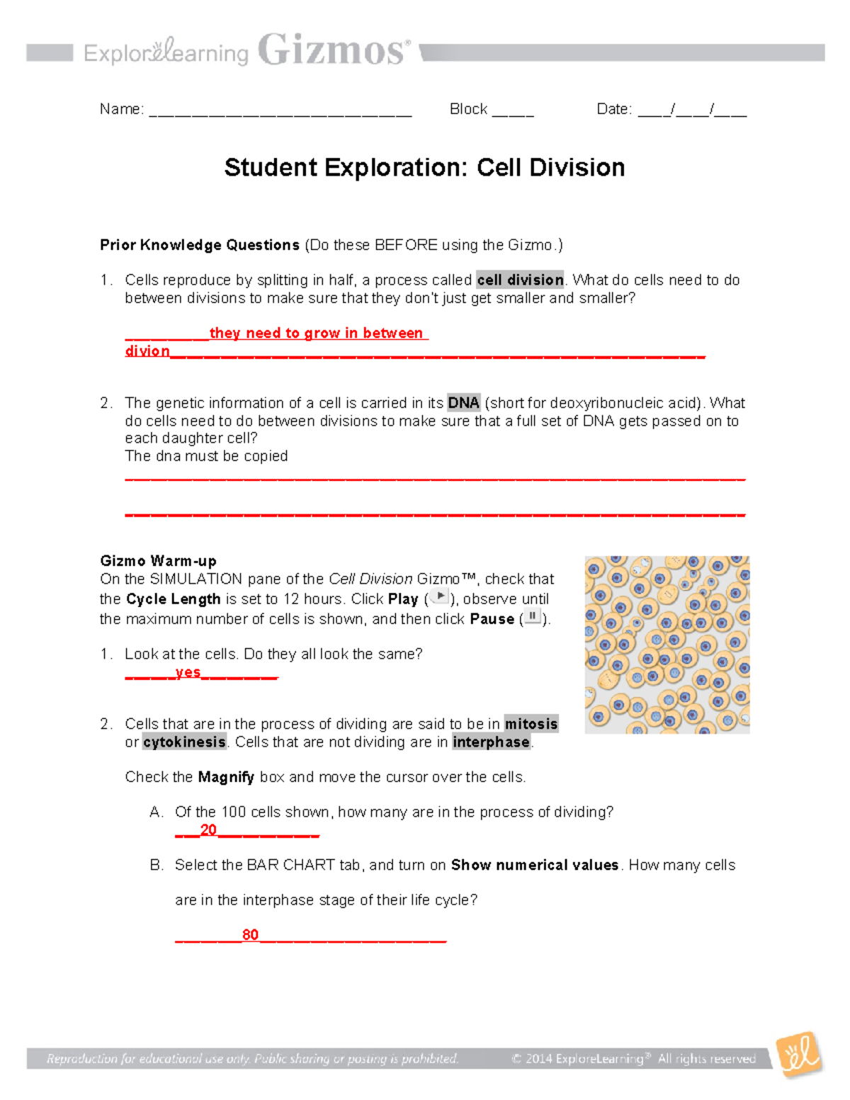 Cell Division Gizmo - Name: _______________________________ Block ...