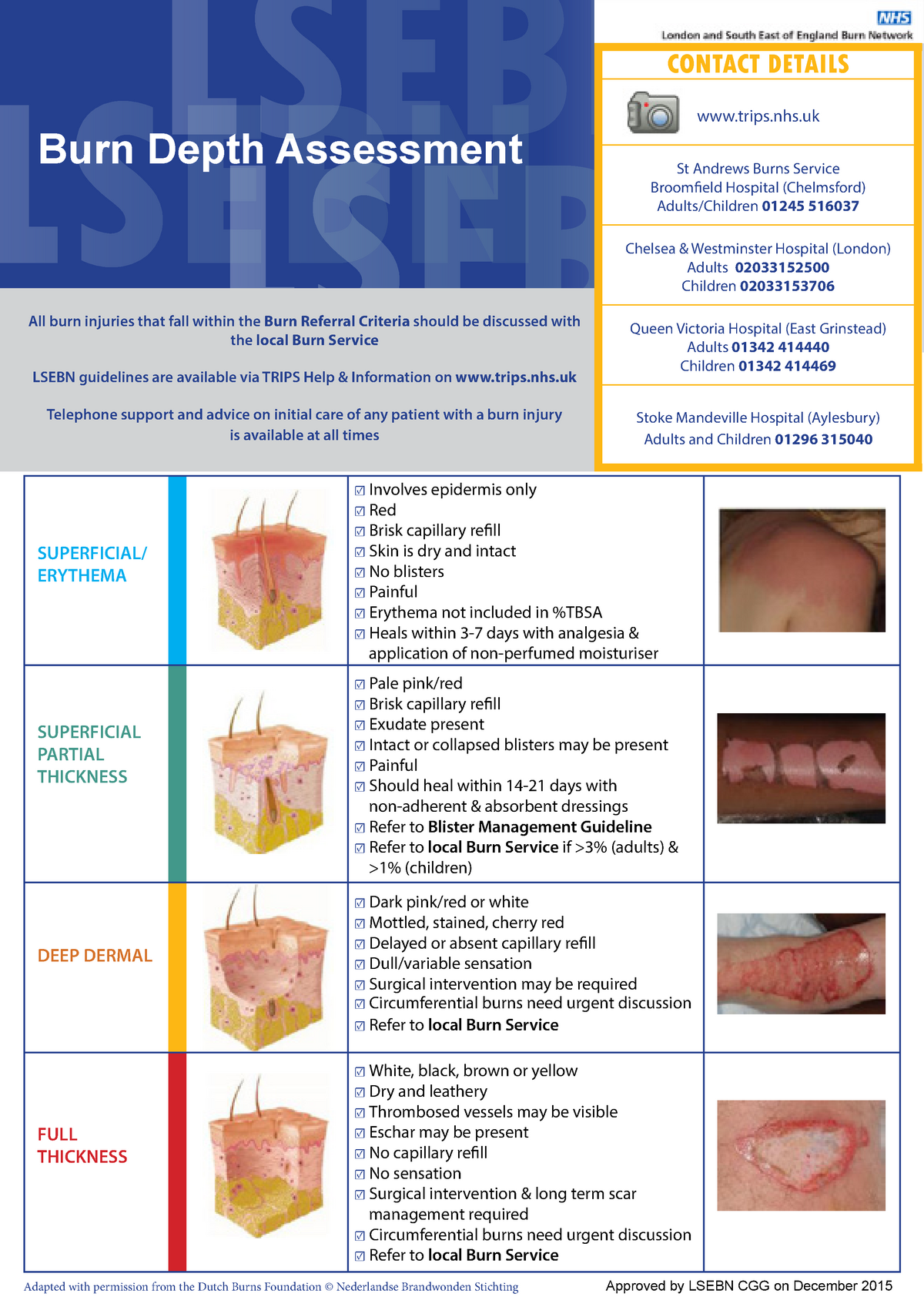 Lsebn Burns Depth Assessment - LSEBN LSEBN Burn Depth Assessment LSEBN ...