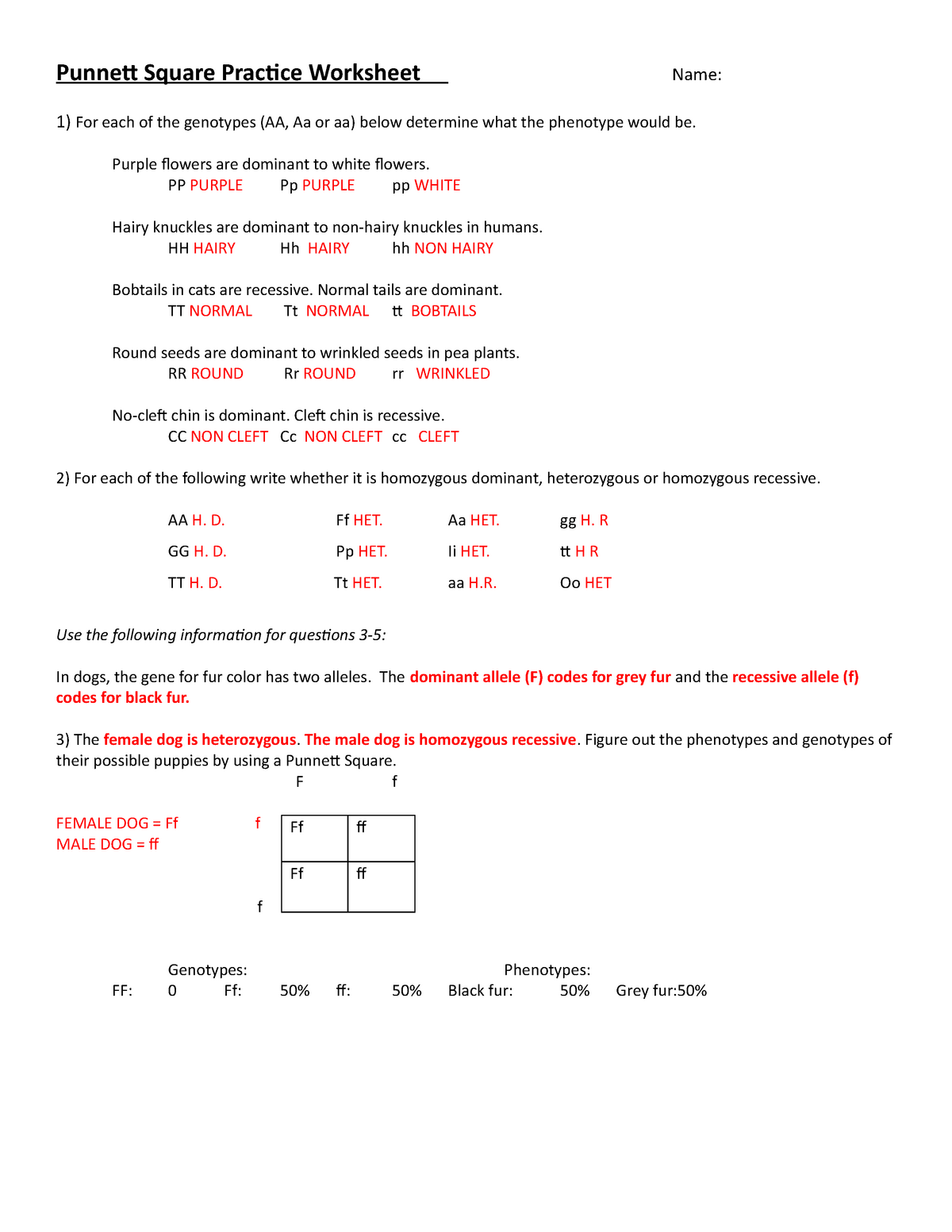 Punnett Square Practice Worksheet - Year 1111 - Unit 11 - Biology For Punnett Square Practice Worksheet Answers