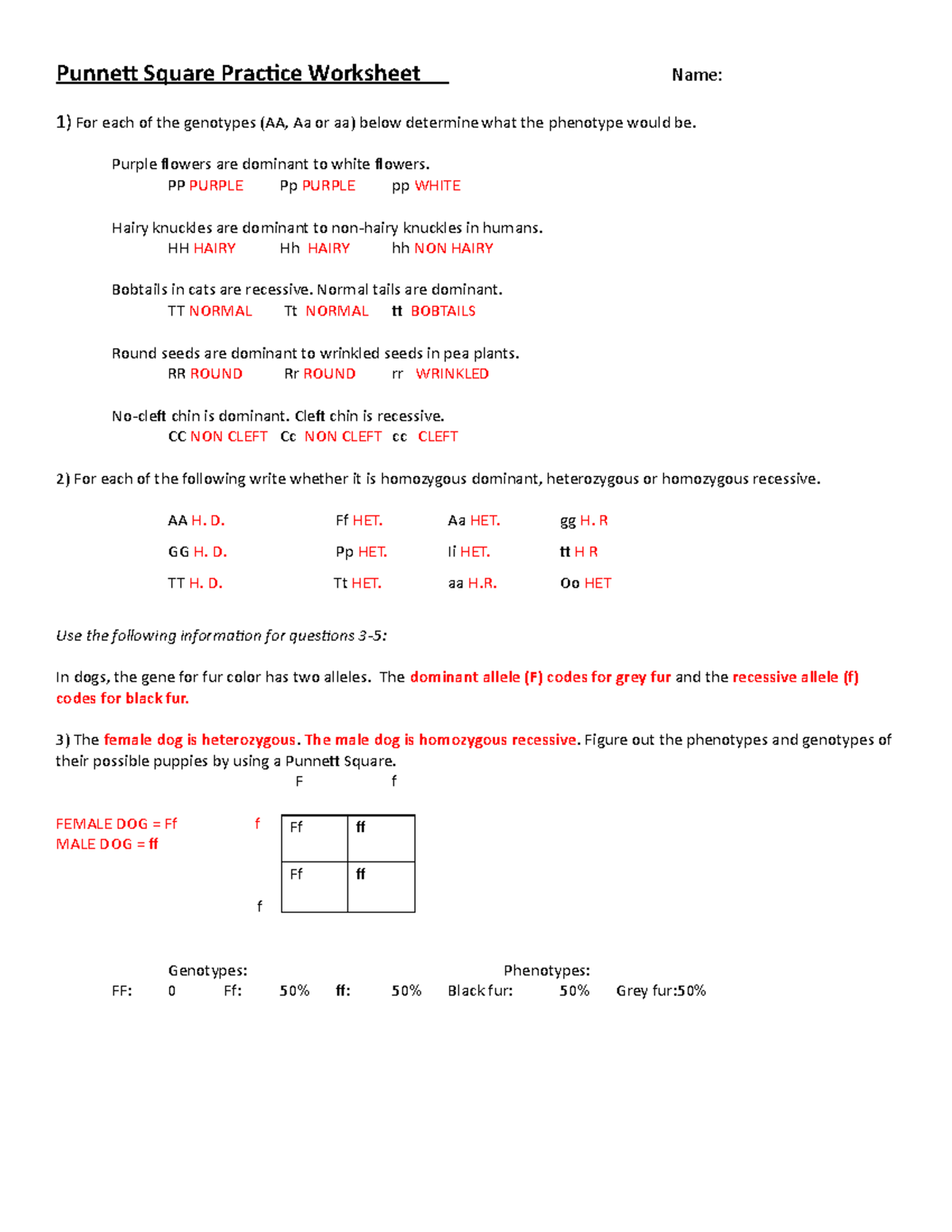 Punnett Square Practice Worksheet Answers