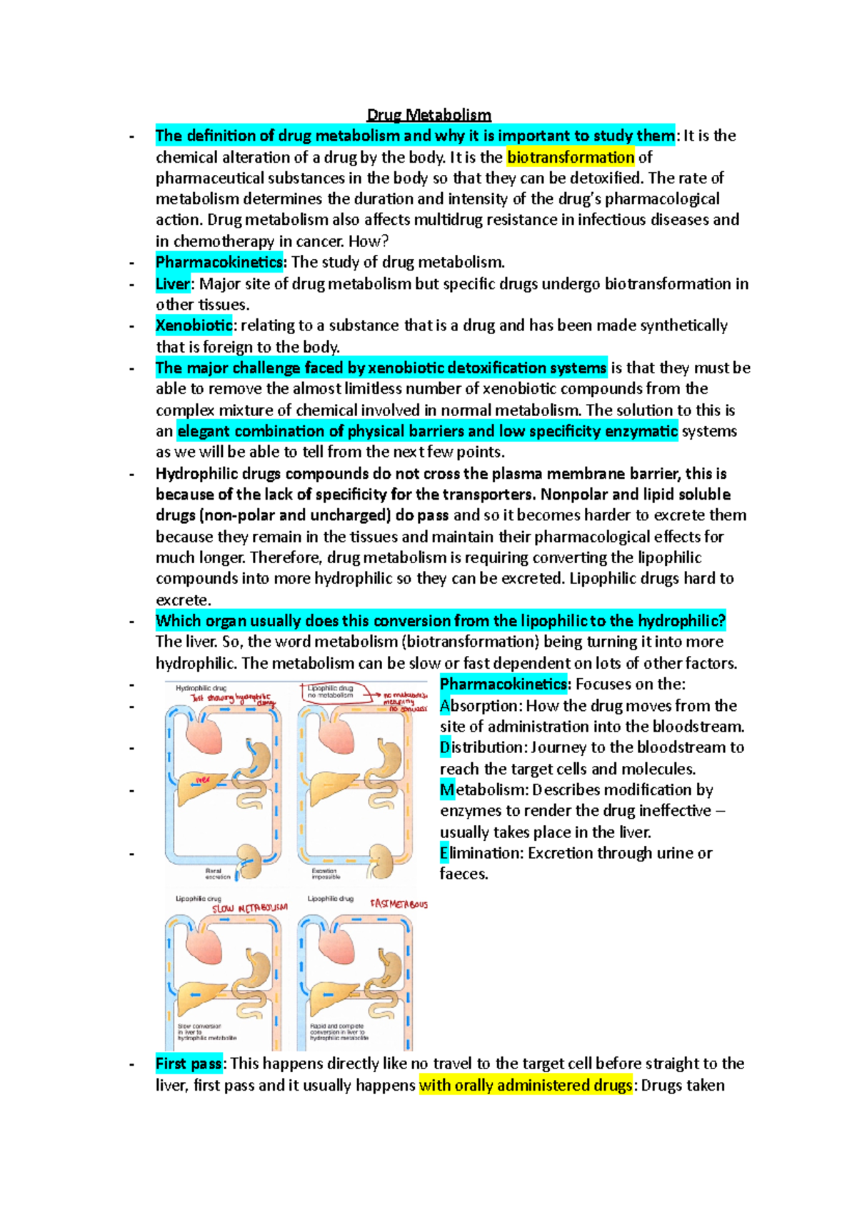 Drug Metabolism Drug Metabolism The definition of drug metabolism and