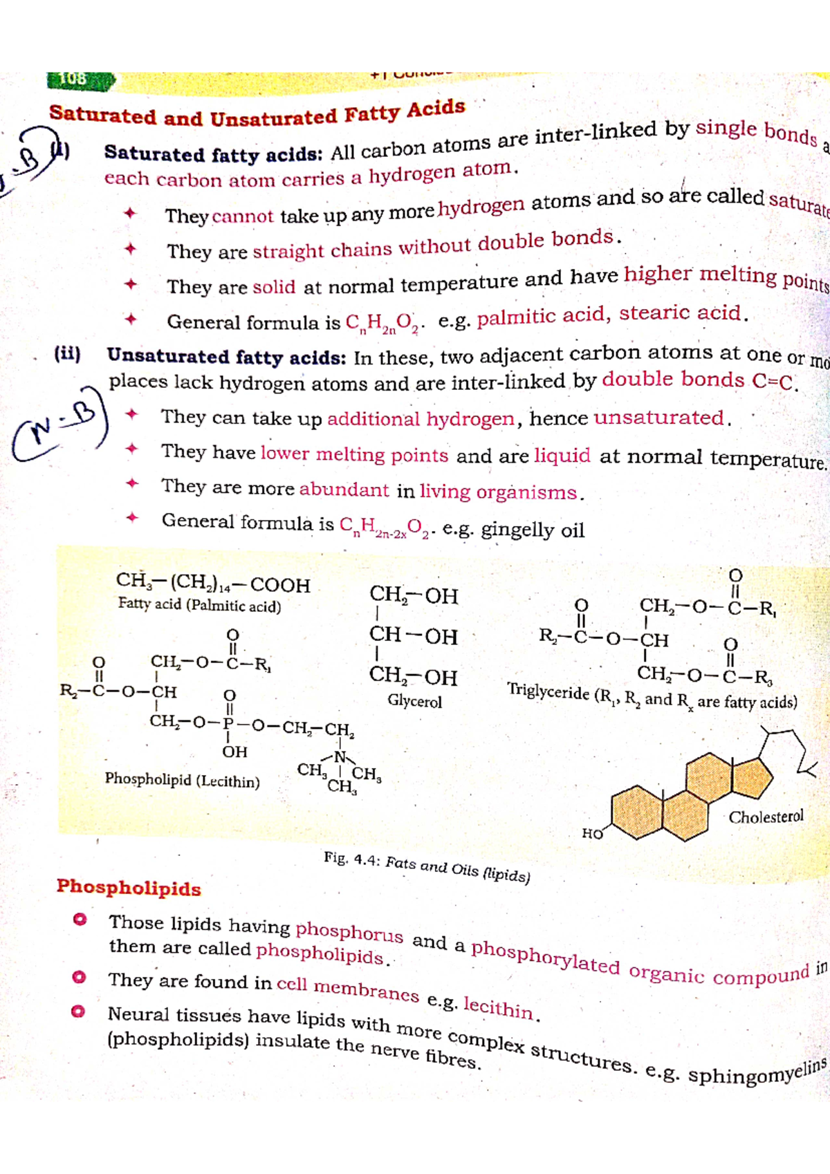 Zoology pdf 3 - Class notes - science - Studocu