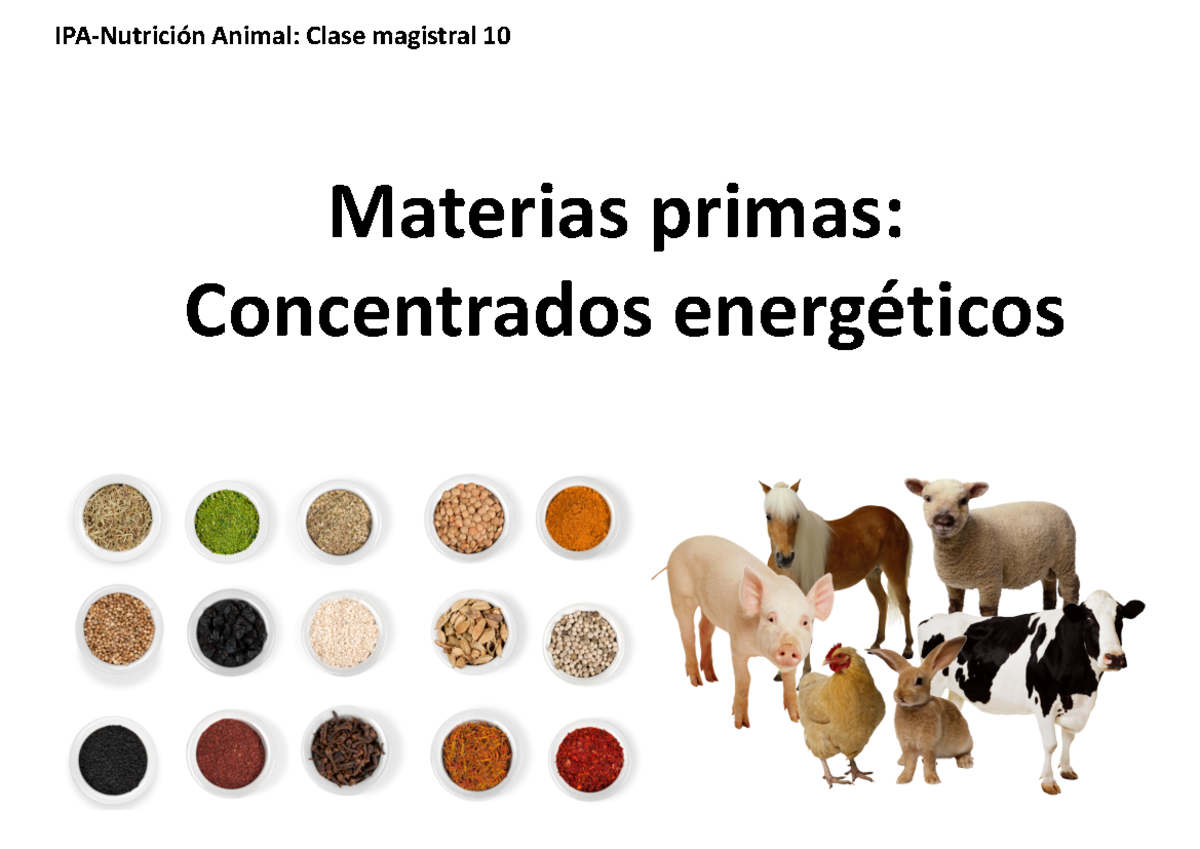 Alimentos Energeticos Y Proteicos Para Animales