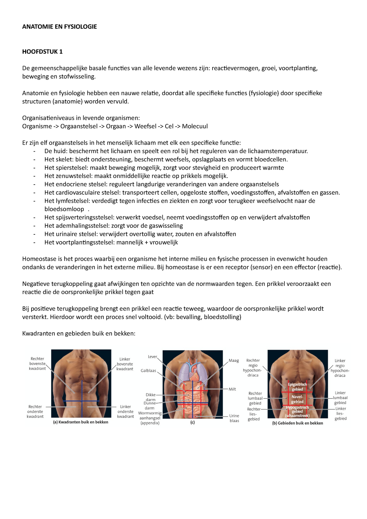 Anatomie En Fysiologie Anatomie En Fysiologie Hoofdstuk 1 De