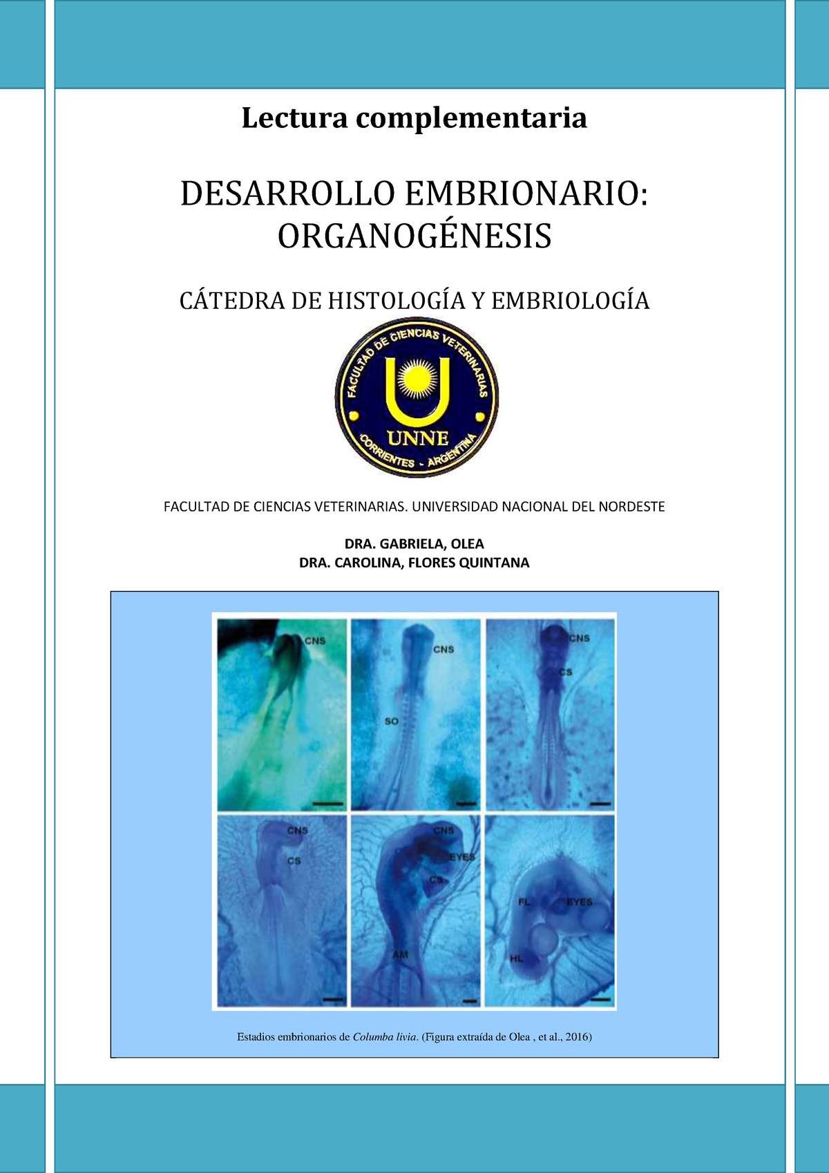 Desarrollo Embrionario. Organogénesis - Lectura Complementaria ...