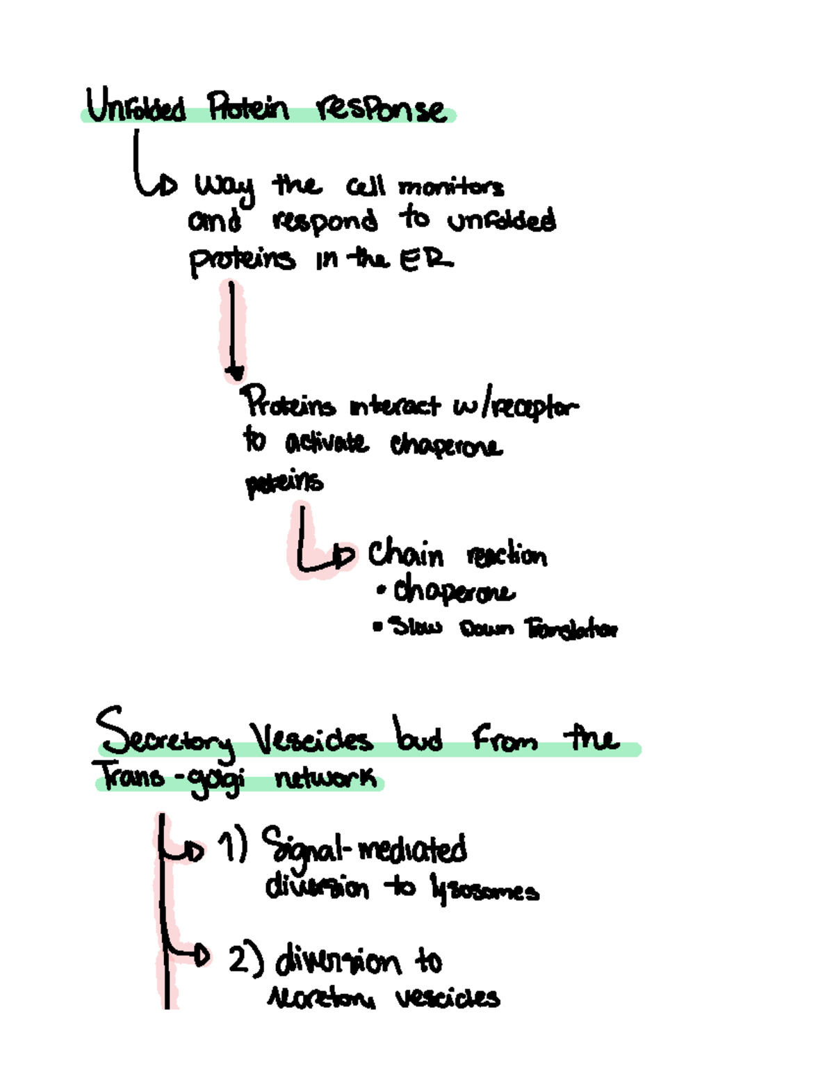Week 8 notes - n/a - Unfolded Protein response Lp ####### way the cell ...