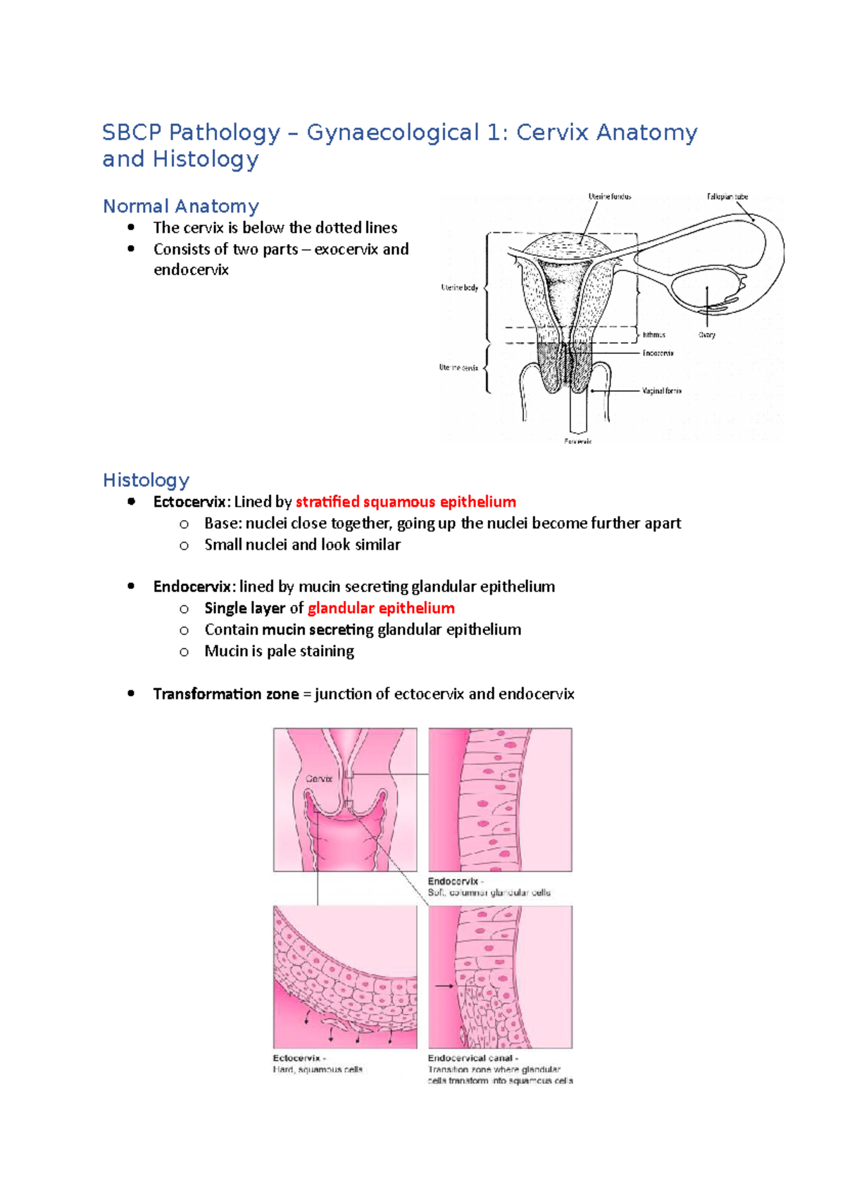 Gynaecology Pathology 1 8 Sbcp Pathology Gynaecological 1 Cervix